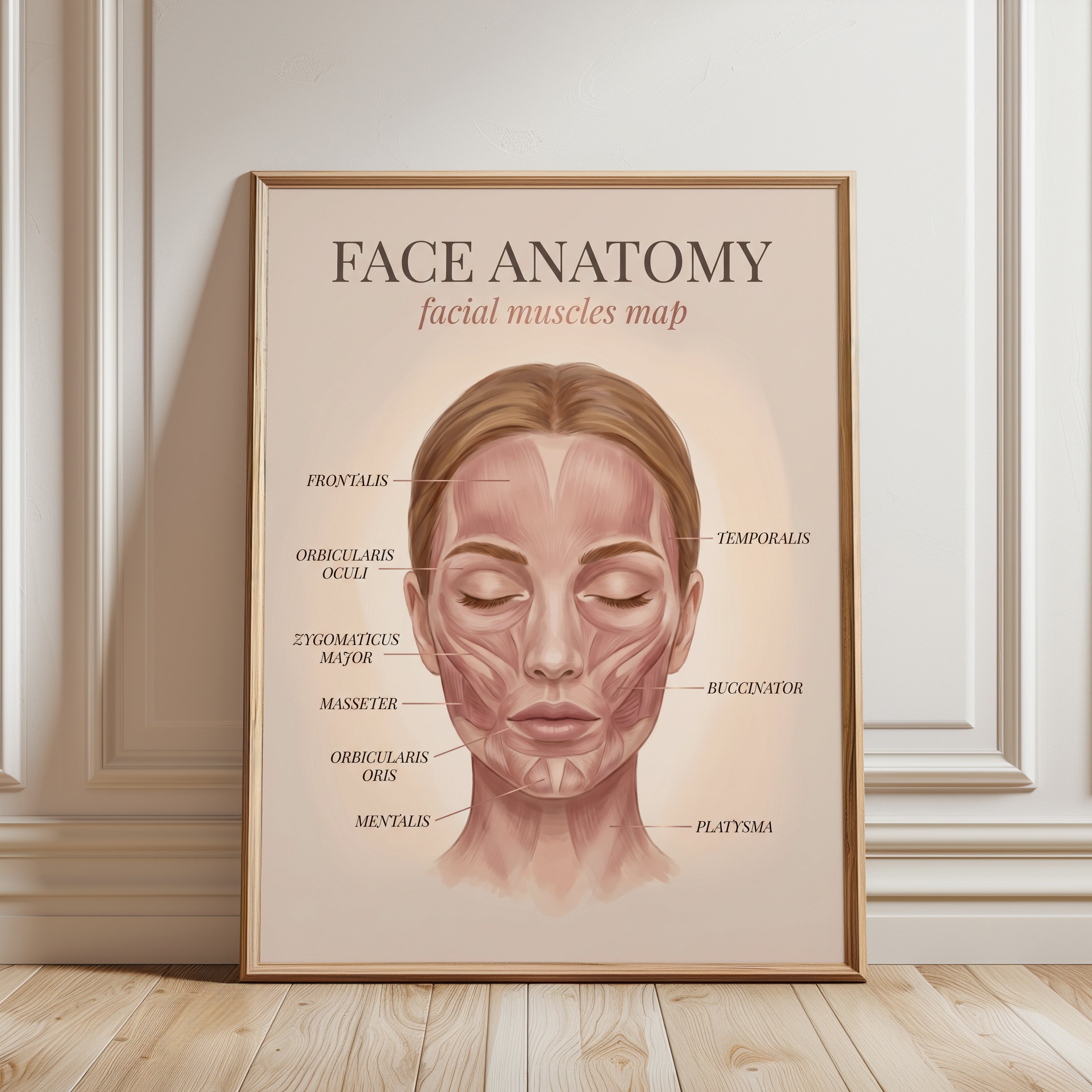 Facial Anatomy Print – Muscle Map - framed detail
