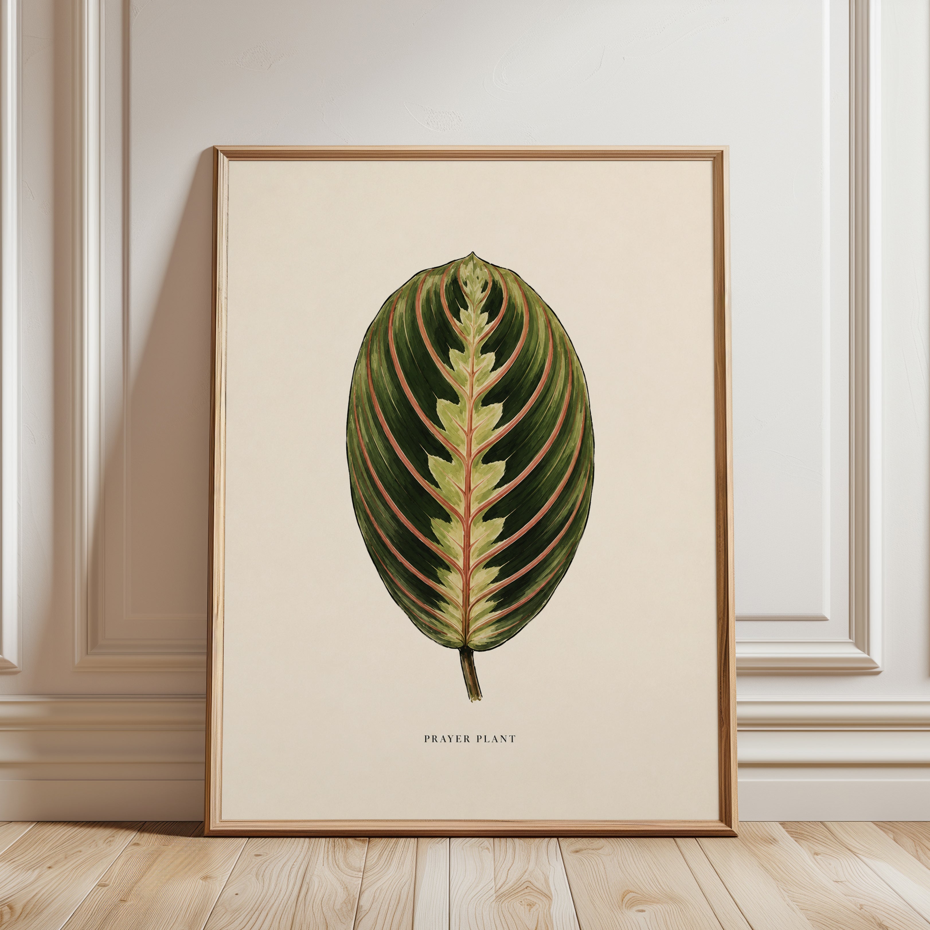 Prayer Plant Wall Art – Botanical Leaf Print - framed detail