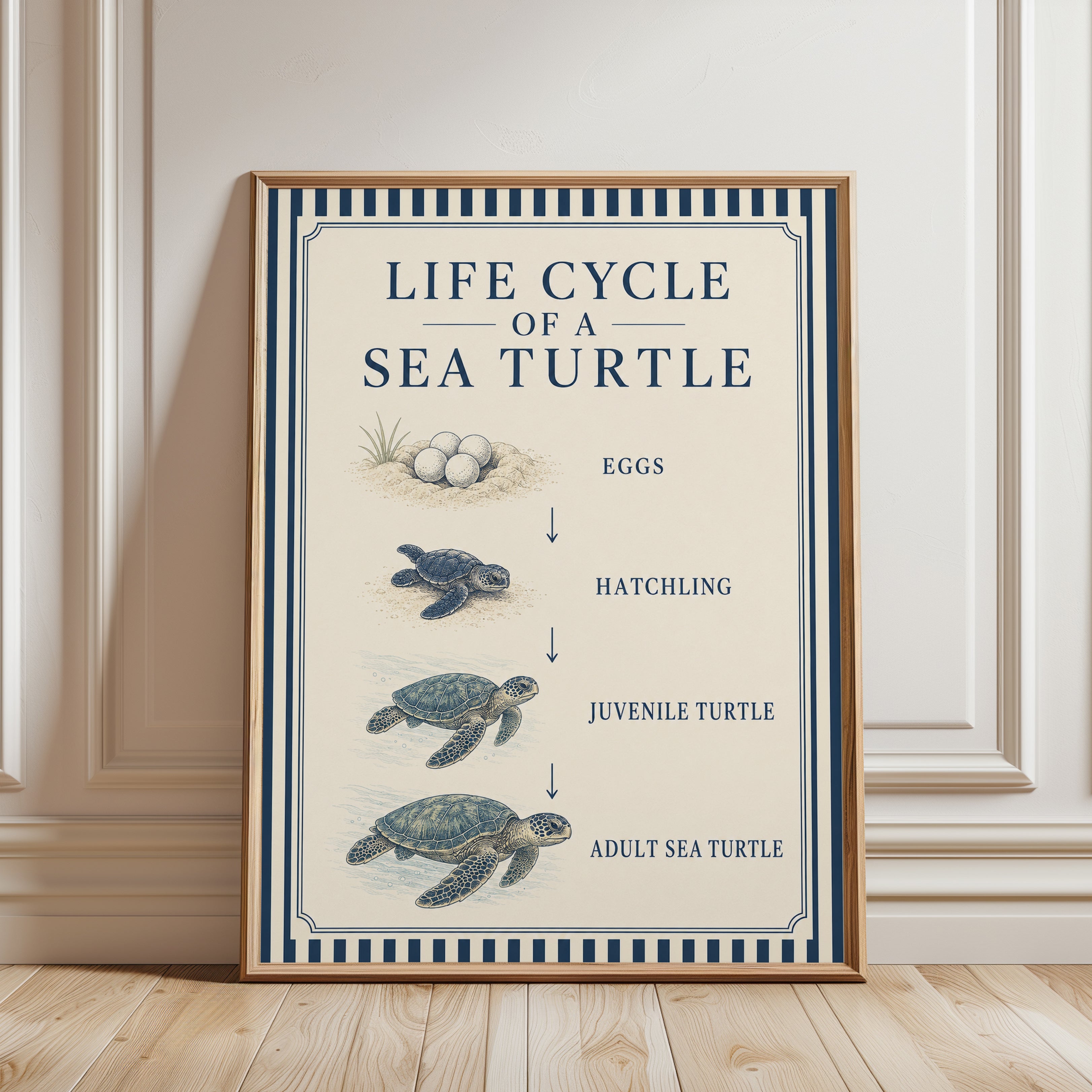 Sea Turtle Wall Art – Life Cycle Poster - framed detail