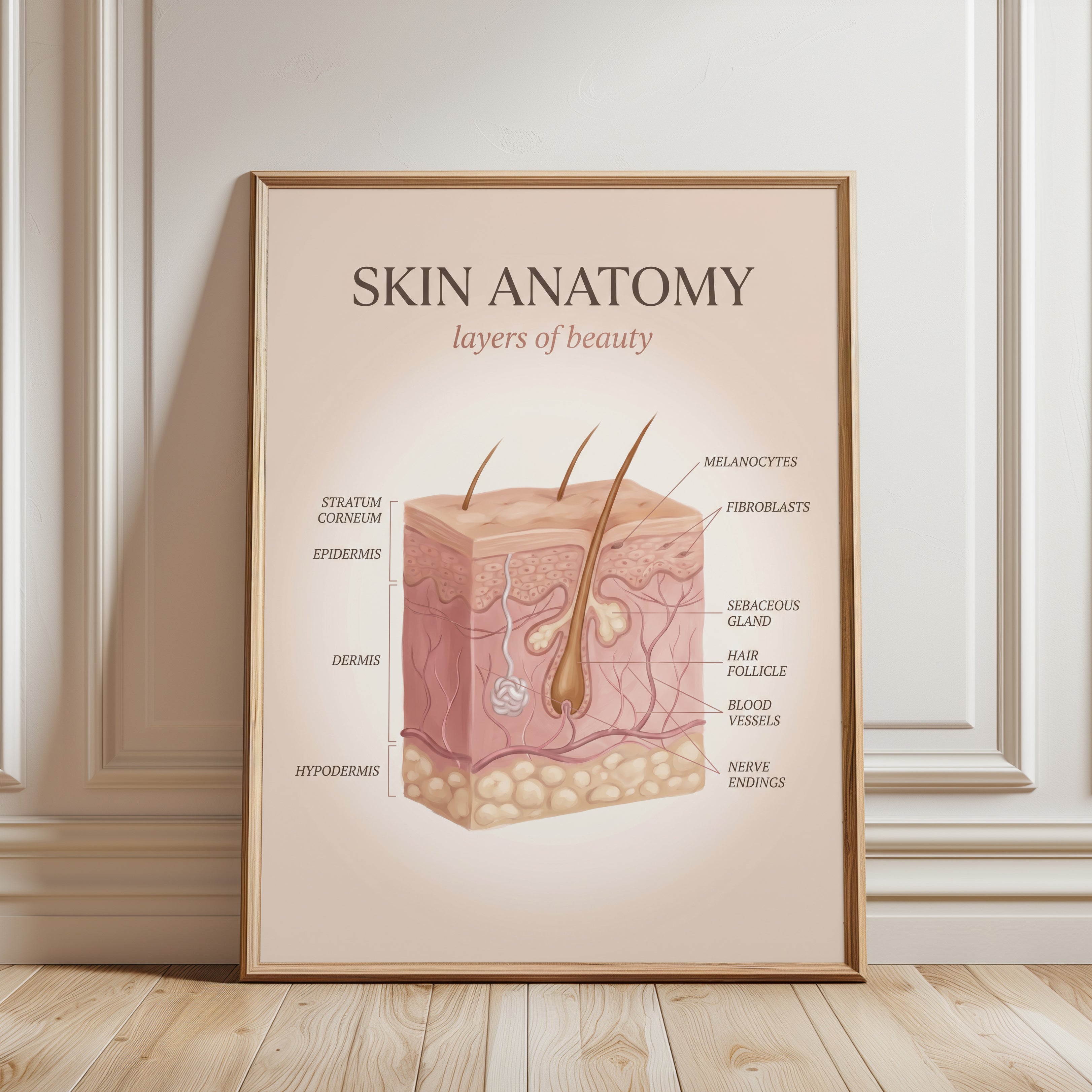 Skin Anatomy Print: Detailed Layers Illustration in Soft Pink - framed detail