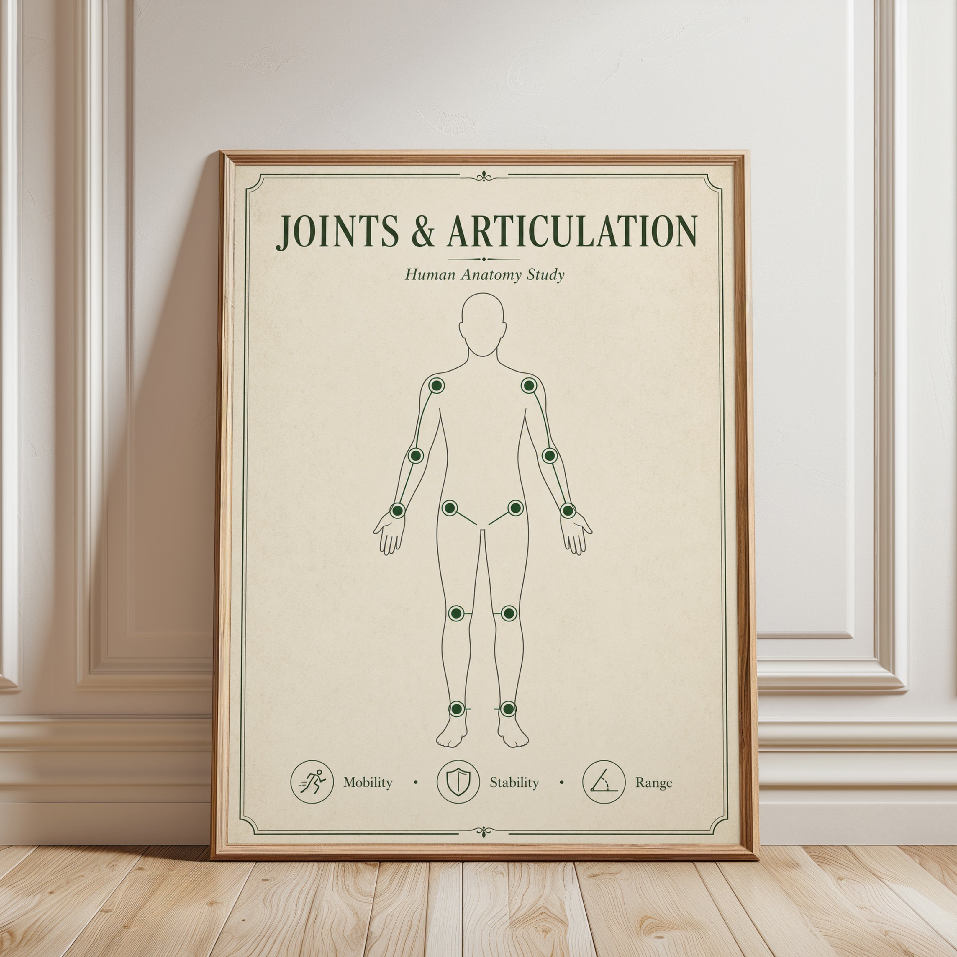 Anatomy Study Print — Joints & Articulation Chart - framed detail