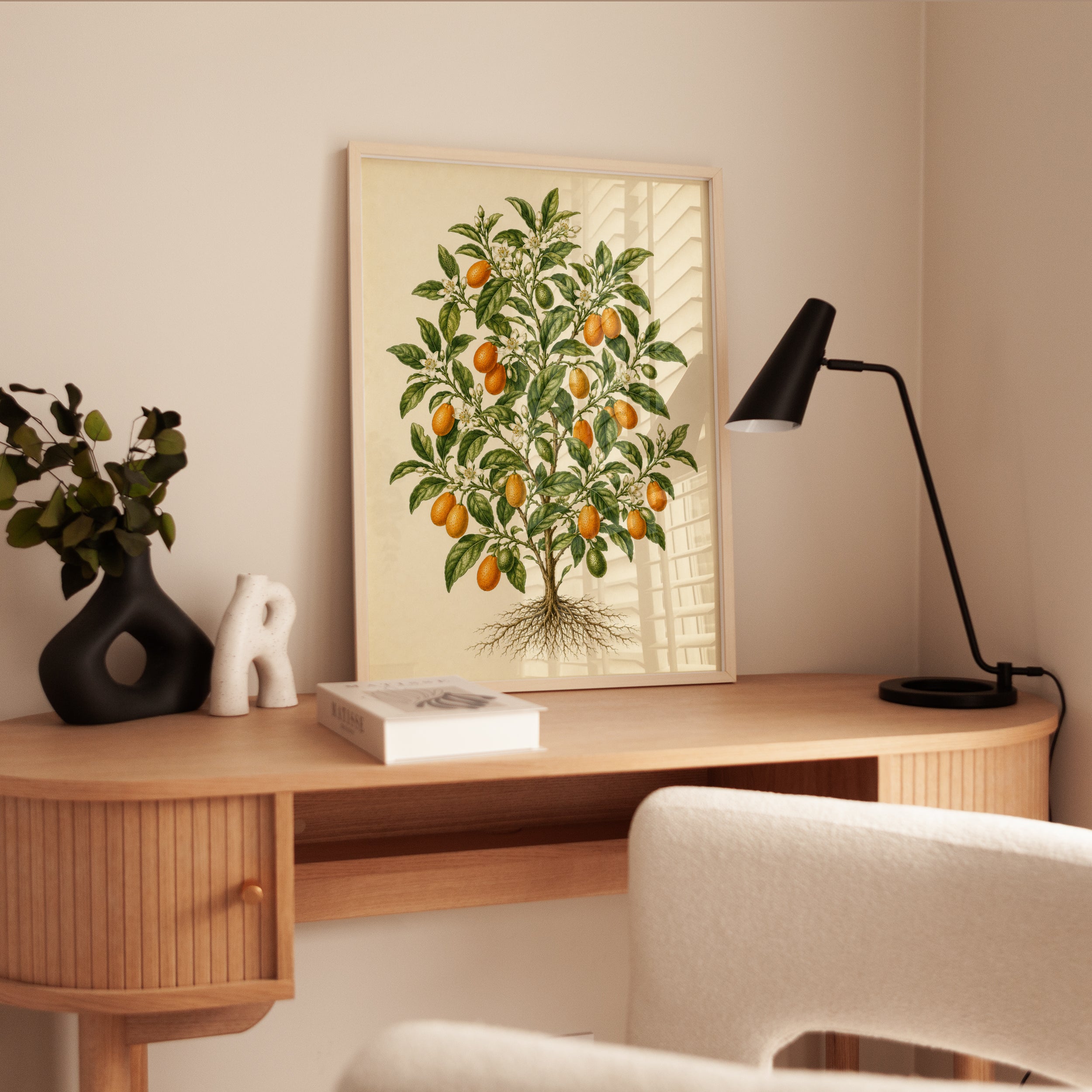 Vintage Citrus Tree Botanical Print — Antique Oranges Illustration - interior