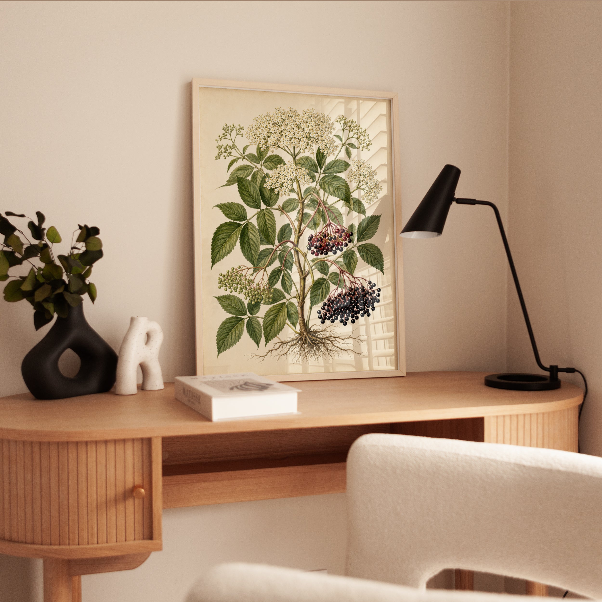 Elderberry Botanical Print — Vintage Scientific Illustration - interior