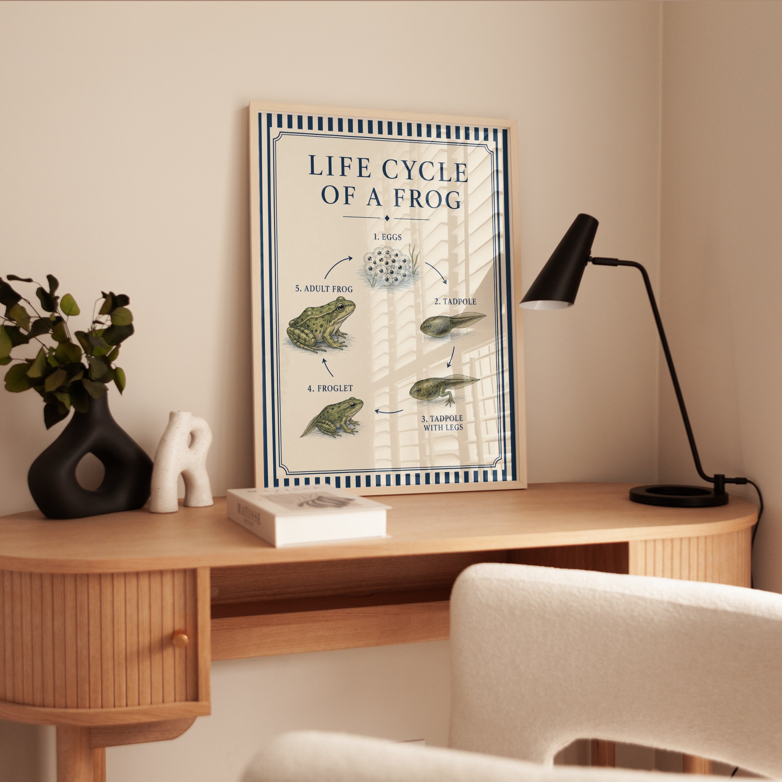 Frog Life Cycle Poster - interior