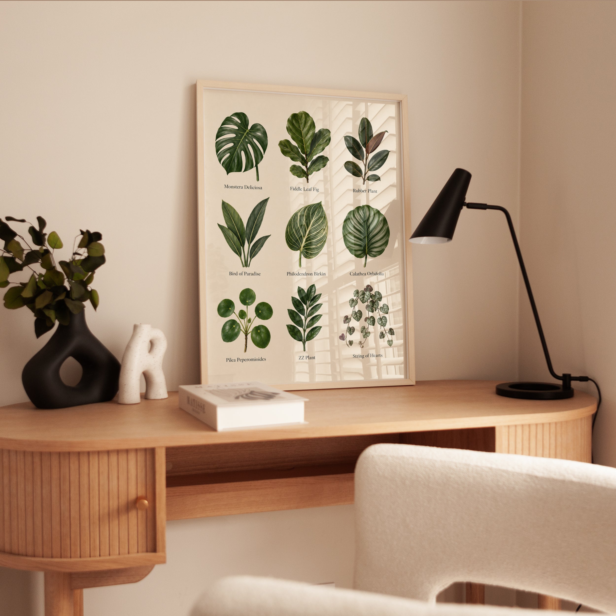 Houseplant Identification Poster - interior