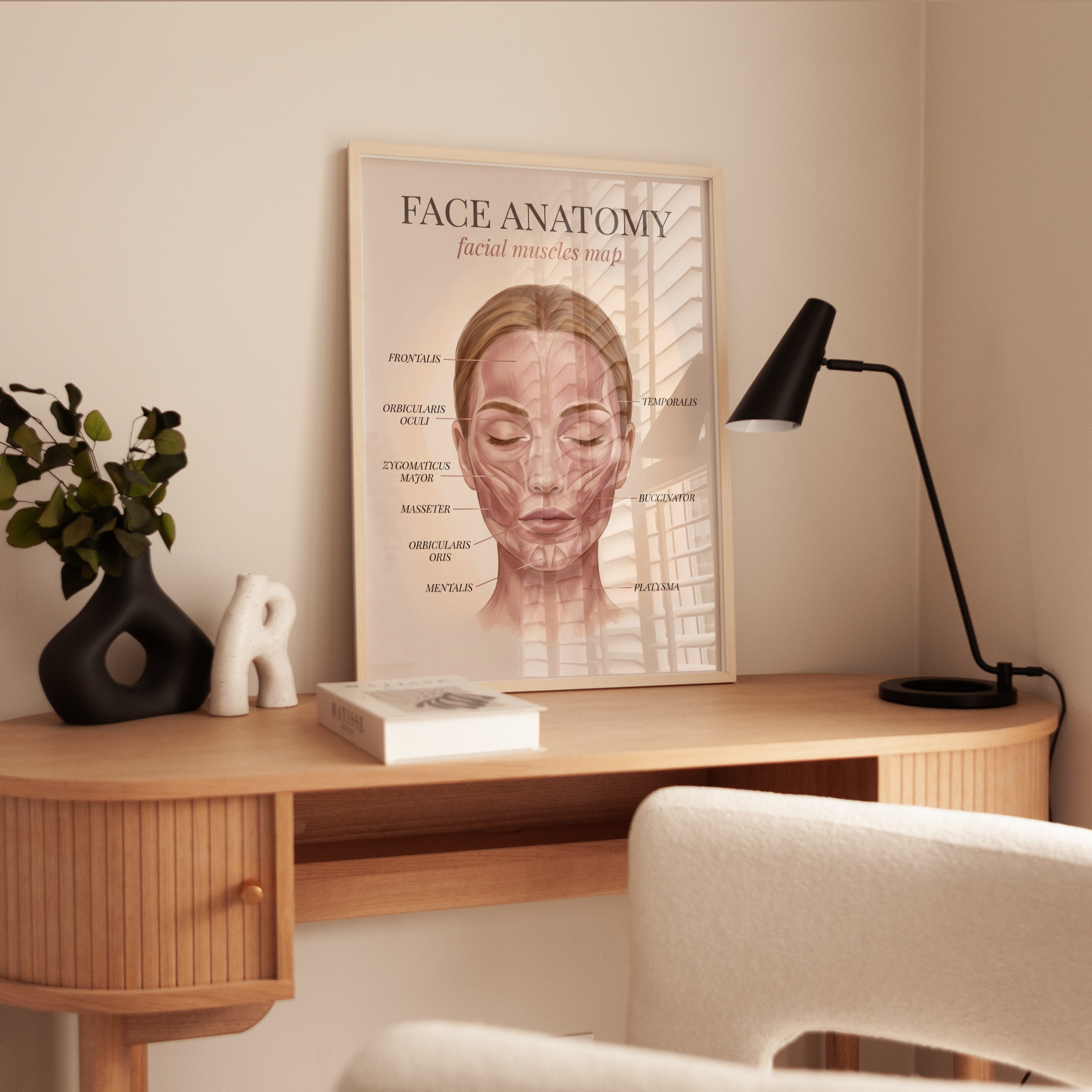 Facial Anatomy Print – Muscle Map - interior