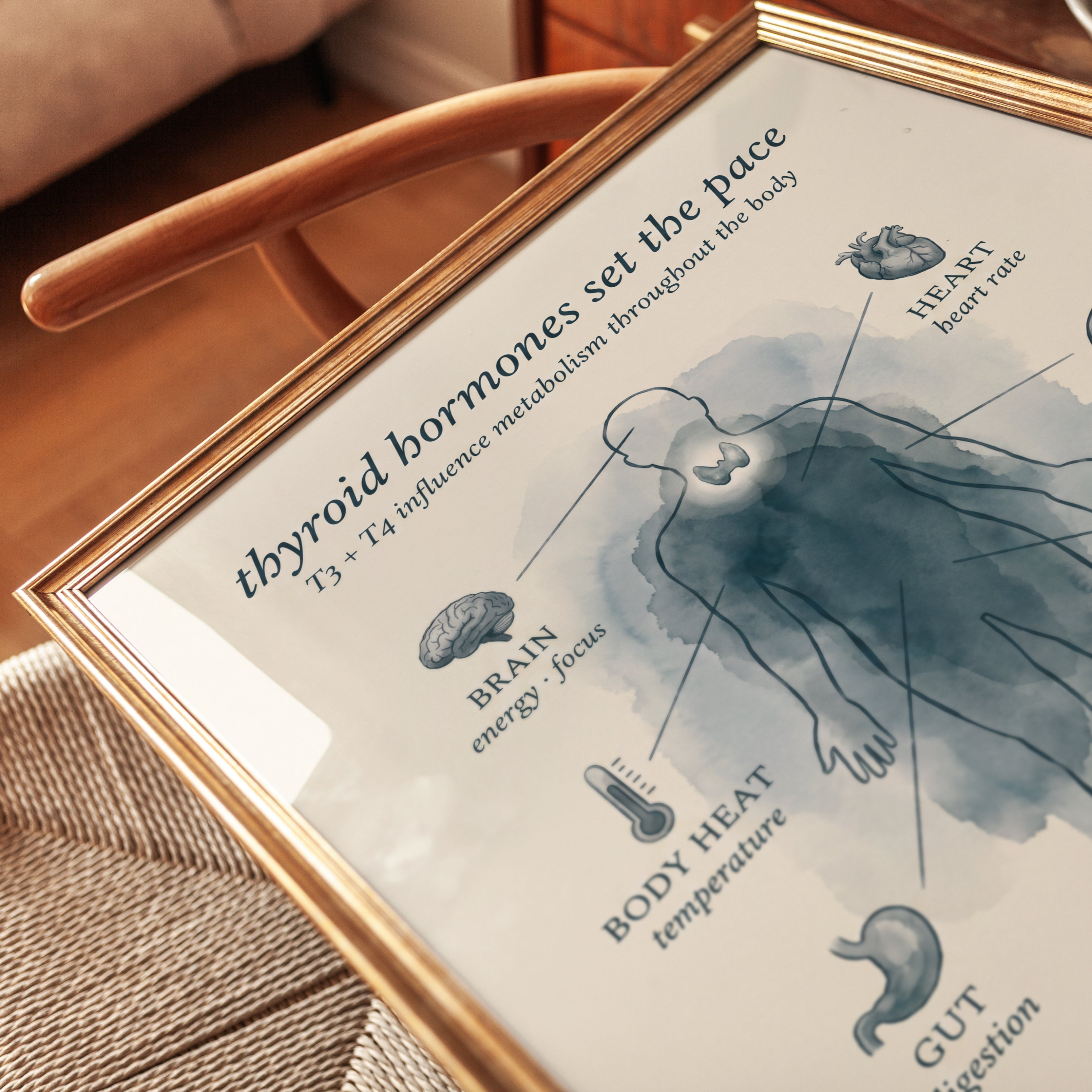 Thyroid Anatomy Poster - detail