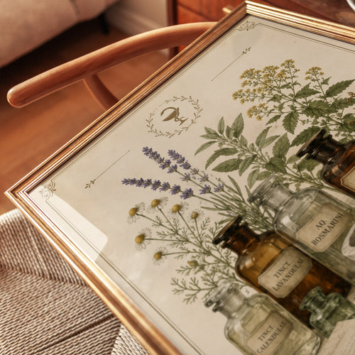 Apothecary Wall Art – Vintage Botanical Print - detail