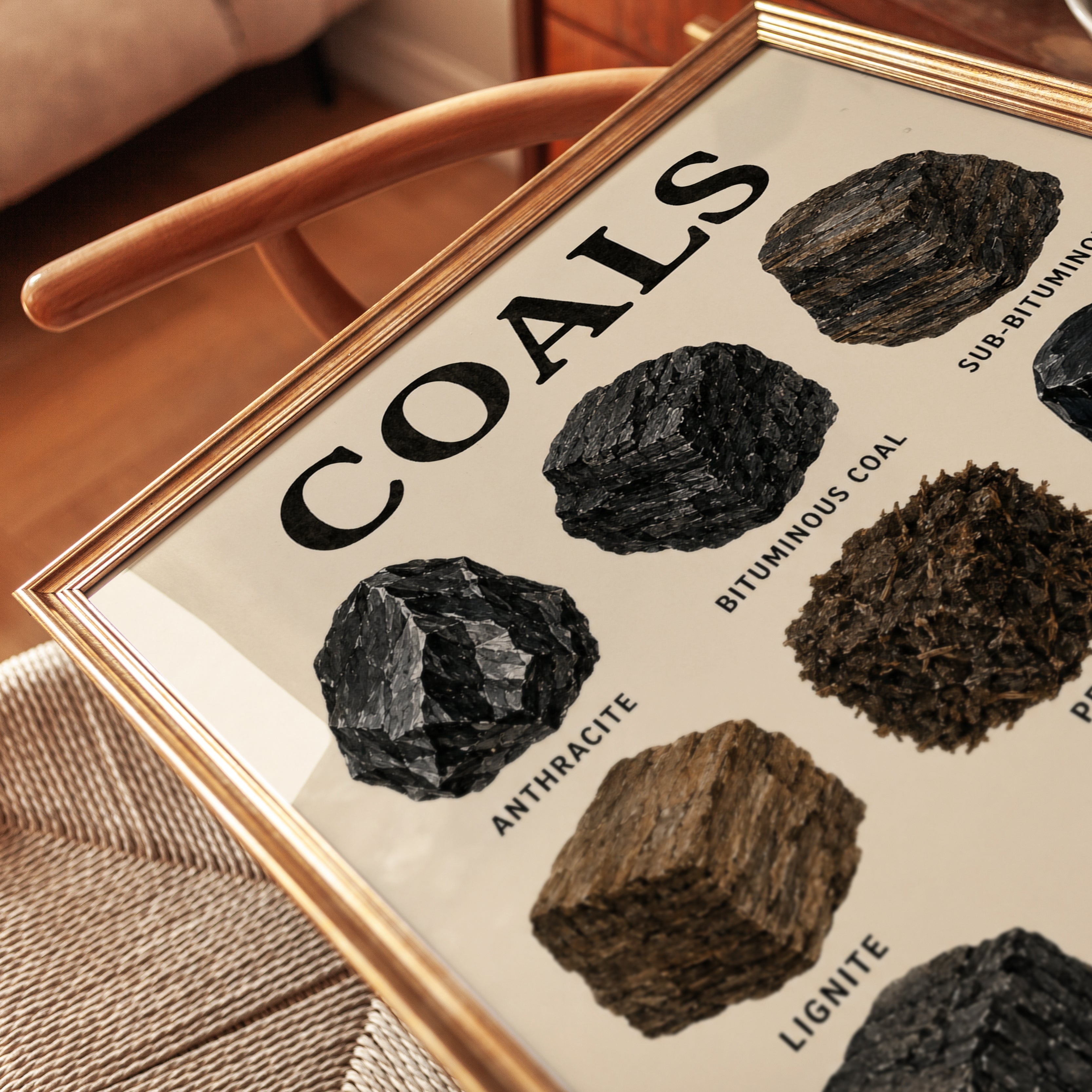 Coal Types Educational Poster: Vintage Scientific Chart Art - detail