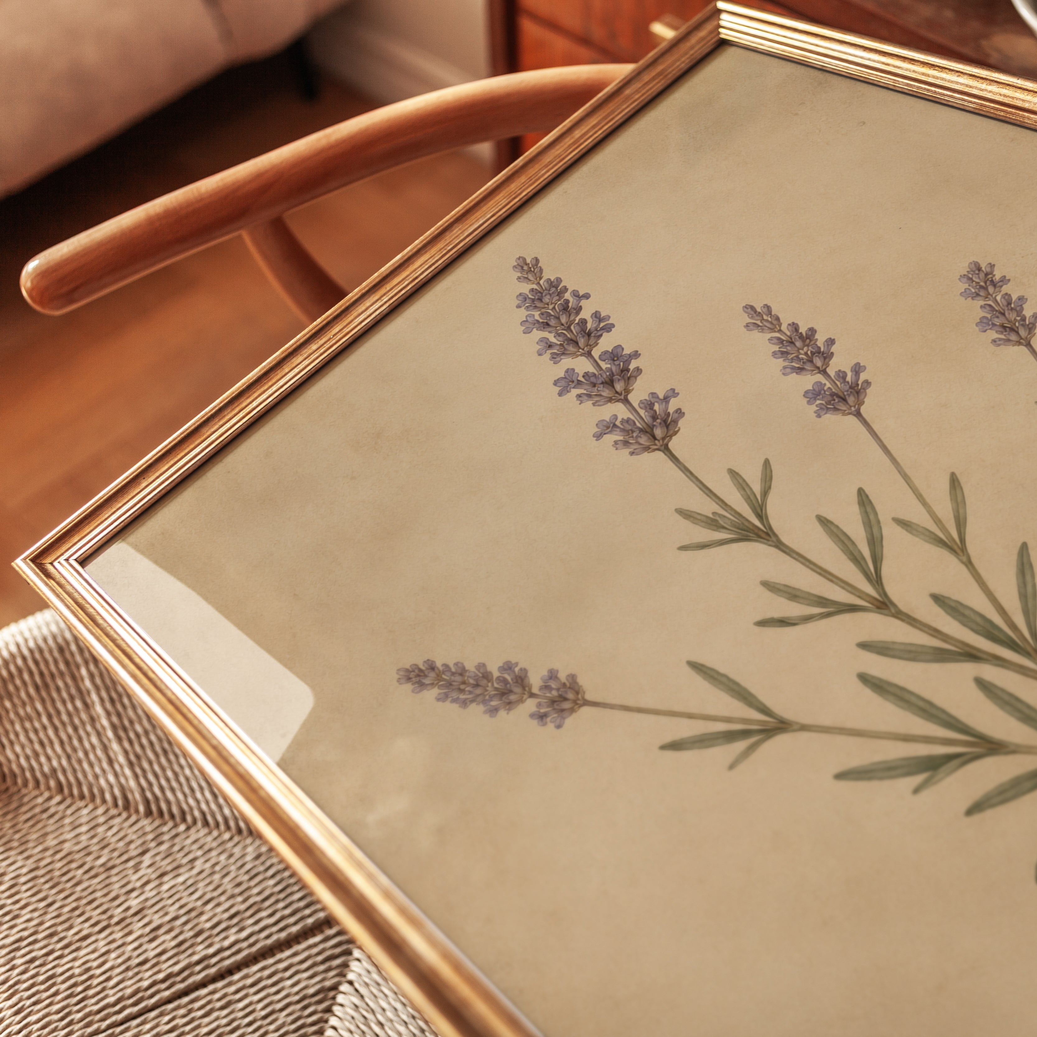 Lavender Botanical Print — Vintage Pressed Flower Illustration - detail