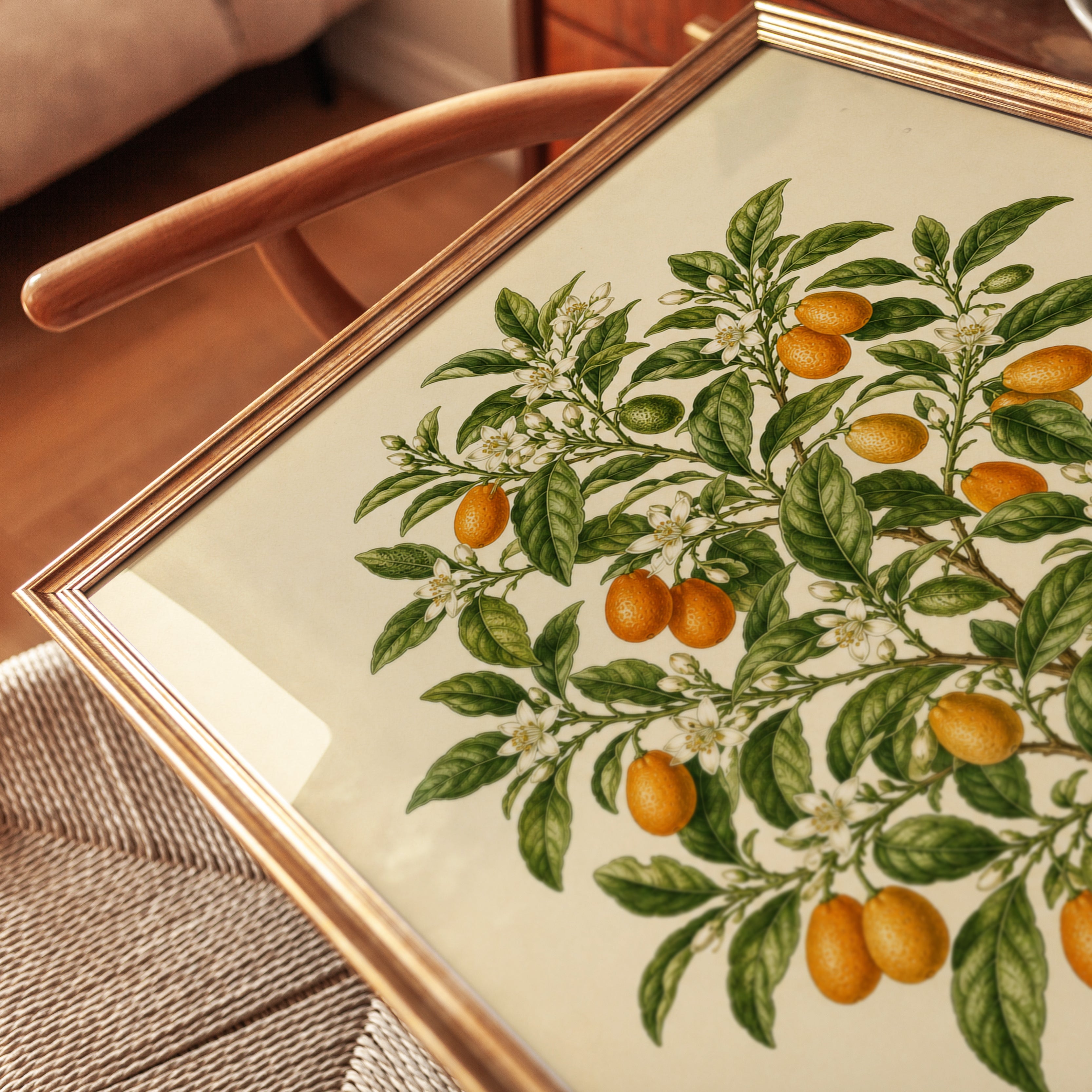 Vintage Citrus Tree Botanical Print — Antique Oranges Illustration - detail