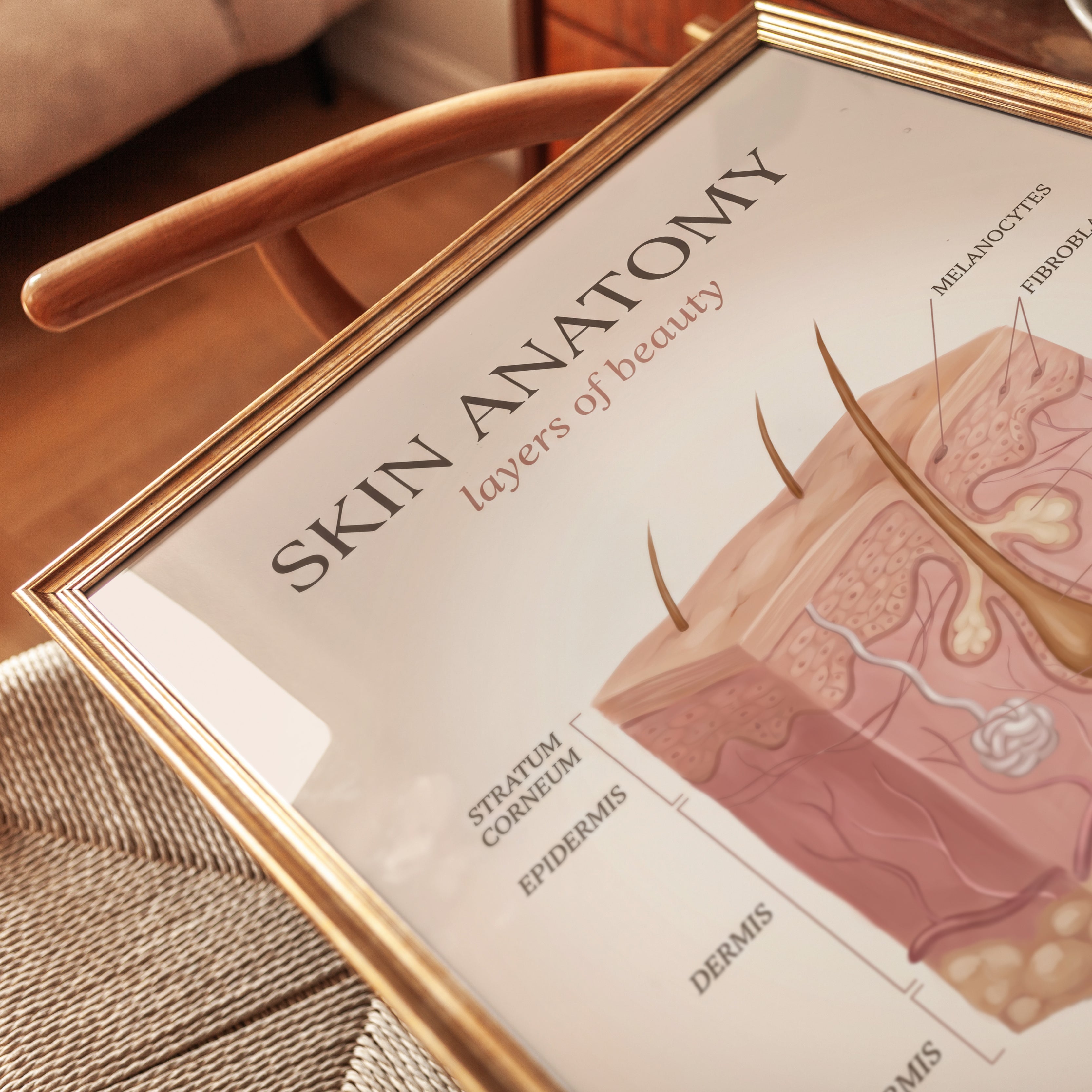 Skin Anatomy Print: Detailed Layers Illustration in Soft Pink - detail