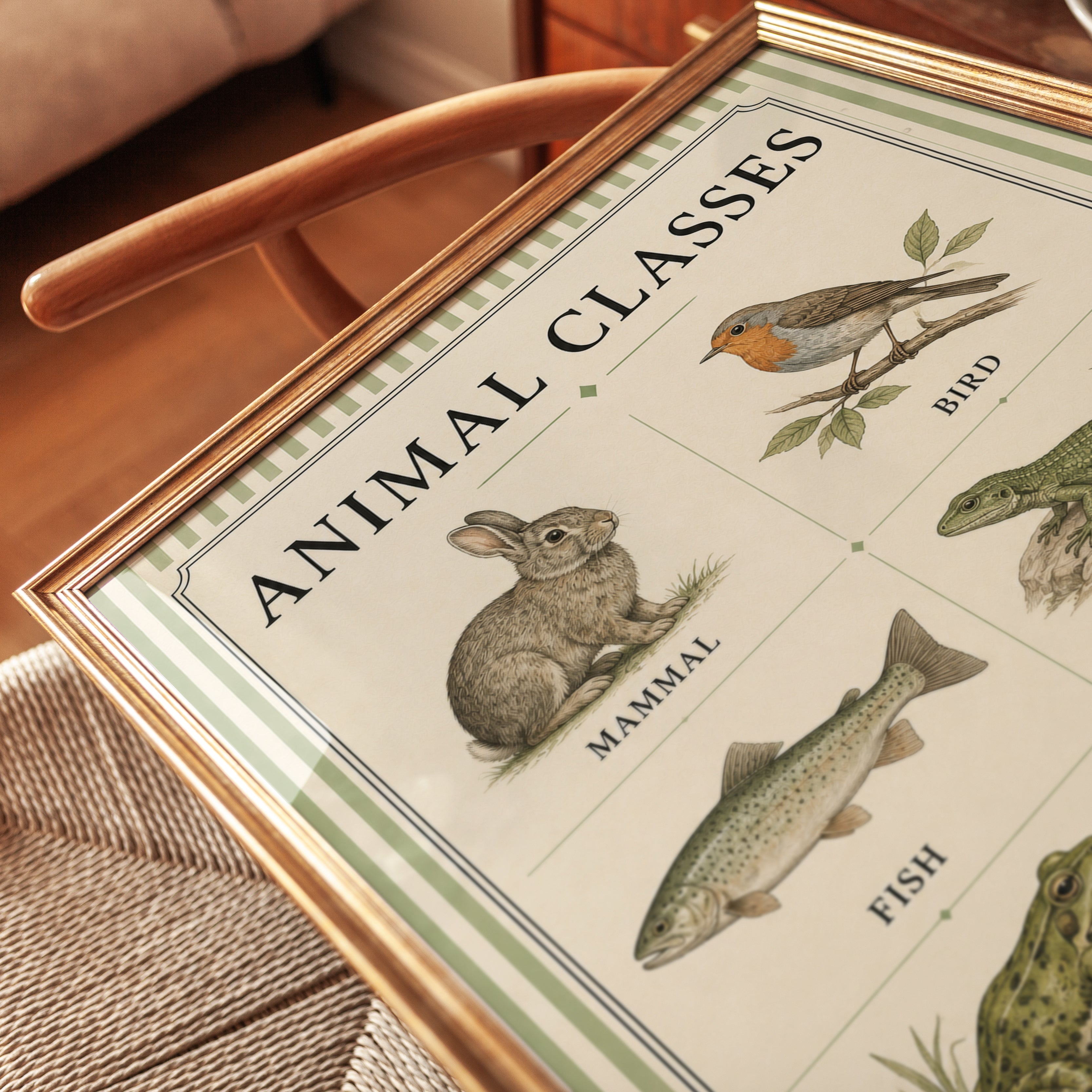 Animal Classes Poster – Educational Science Print - detail