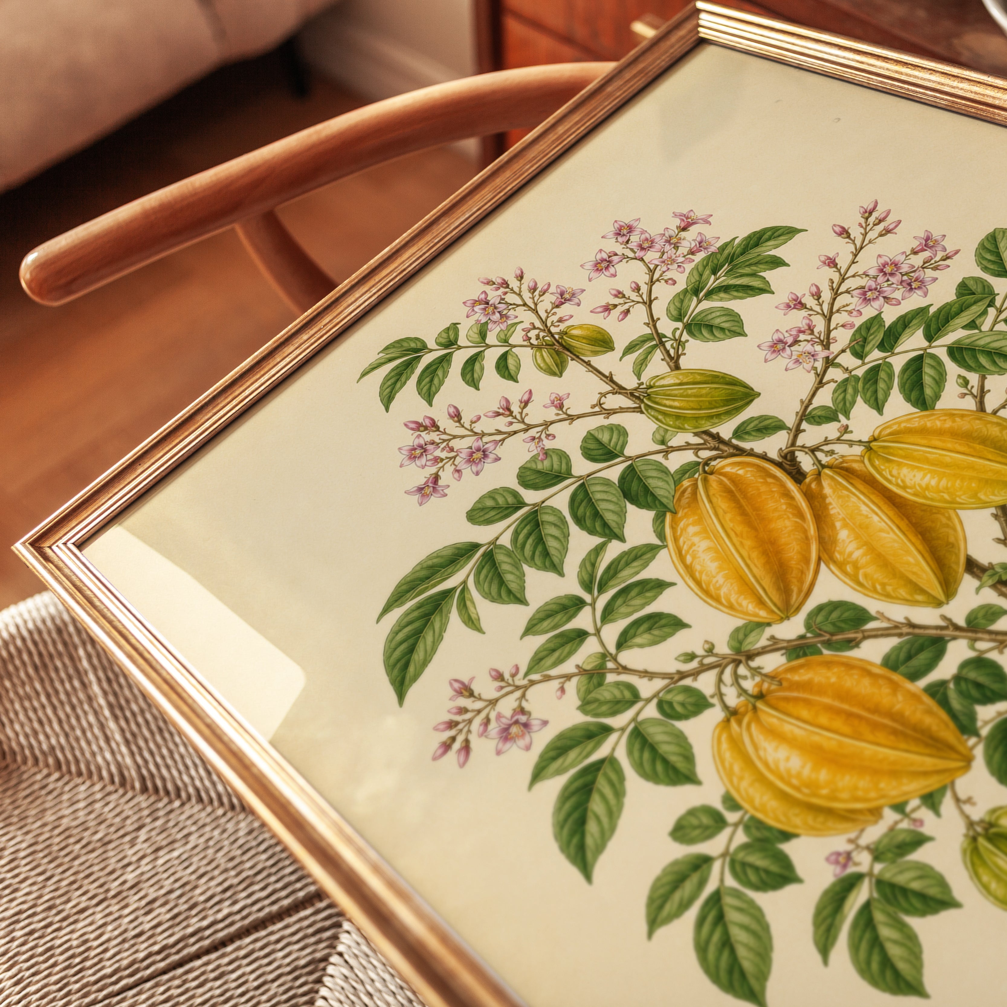 Botanical Starfruit Print — Vintage Tropical Fruit Illustration - detail