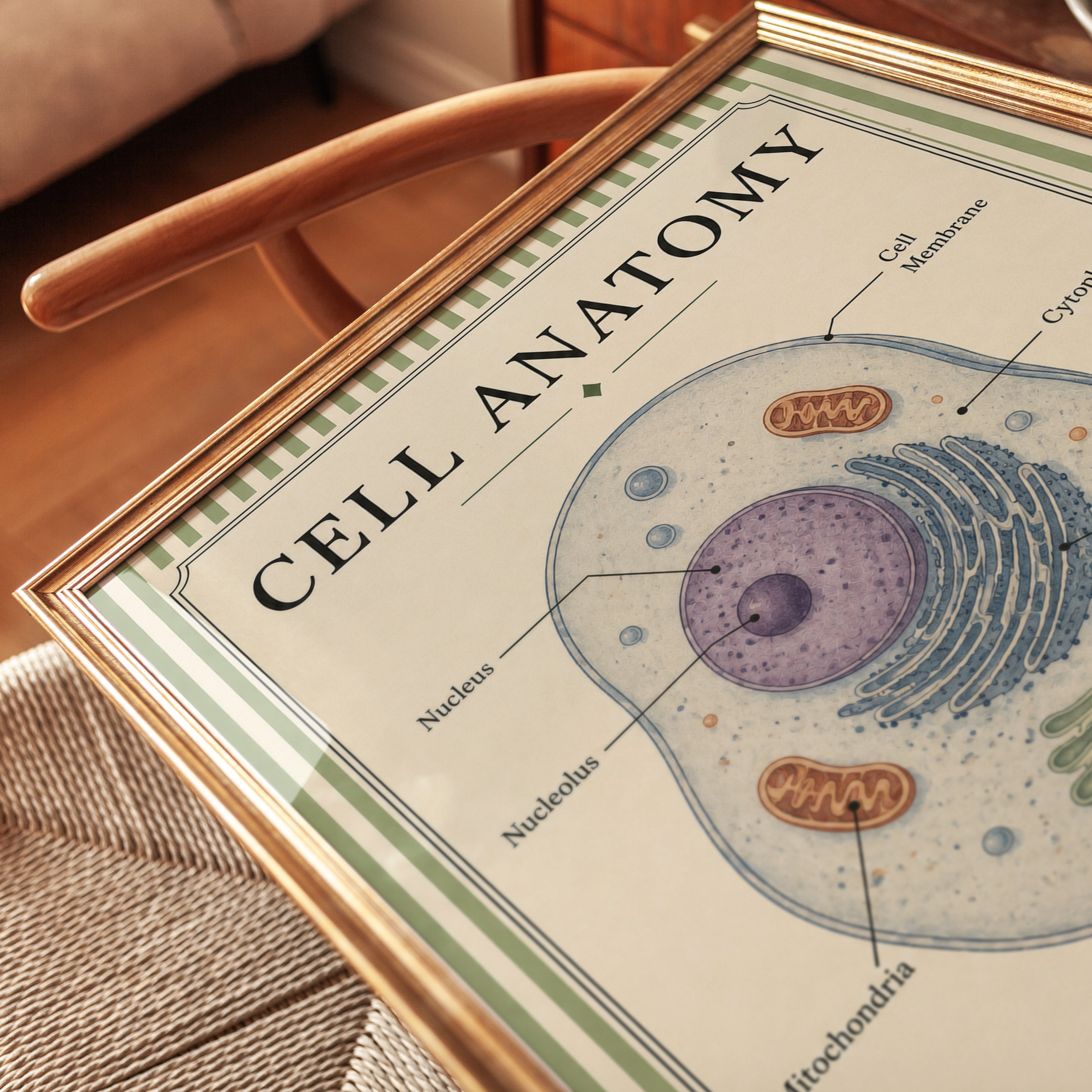 Cell Anatomy Poster – Biology Classroom Decor - detail