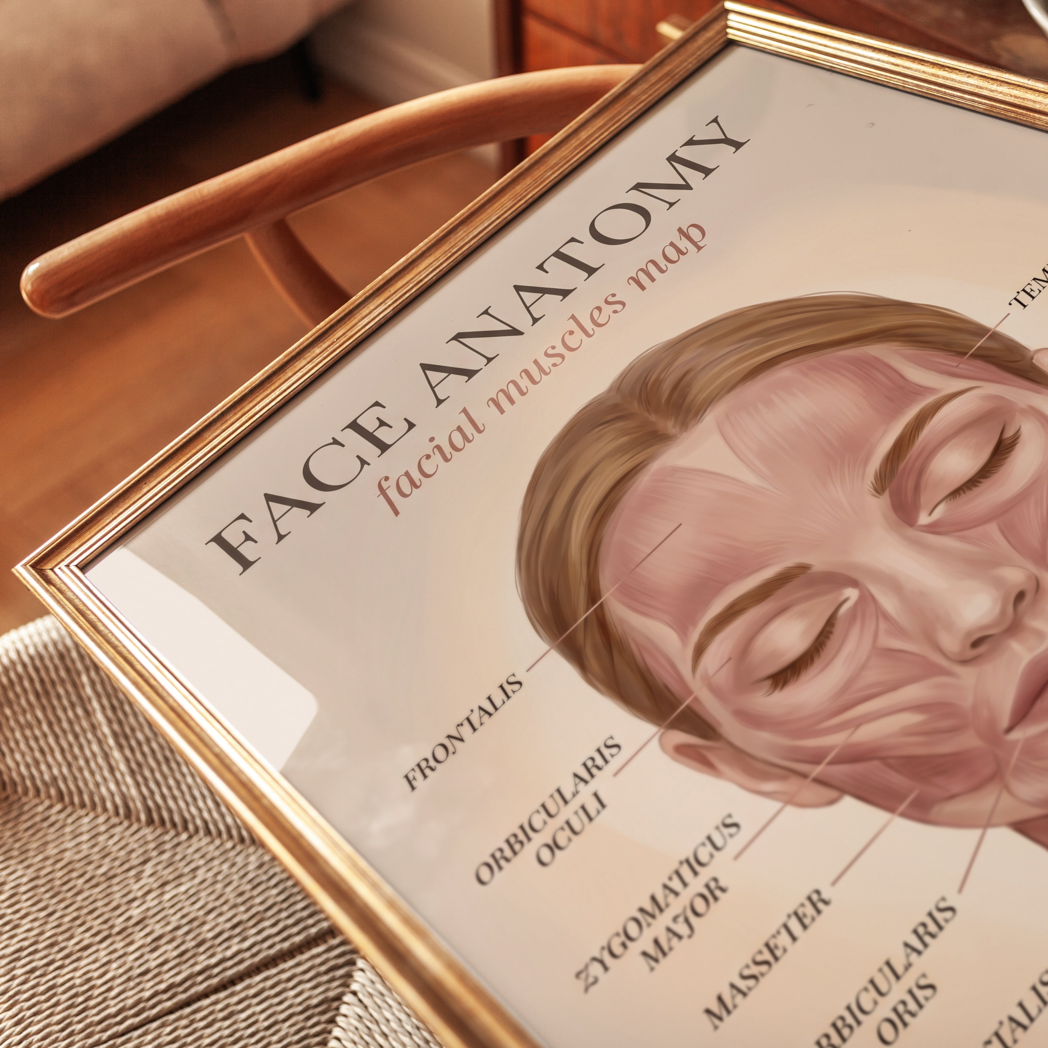 Facial Anatomy Print – Muscle Map - detail