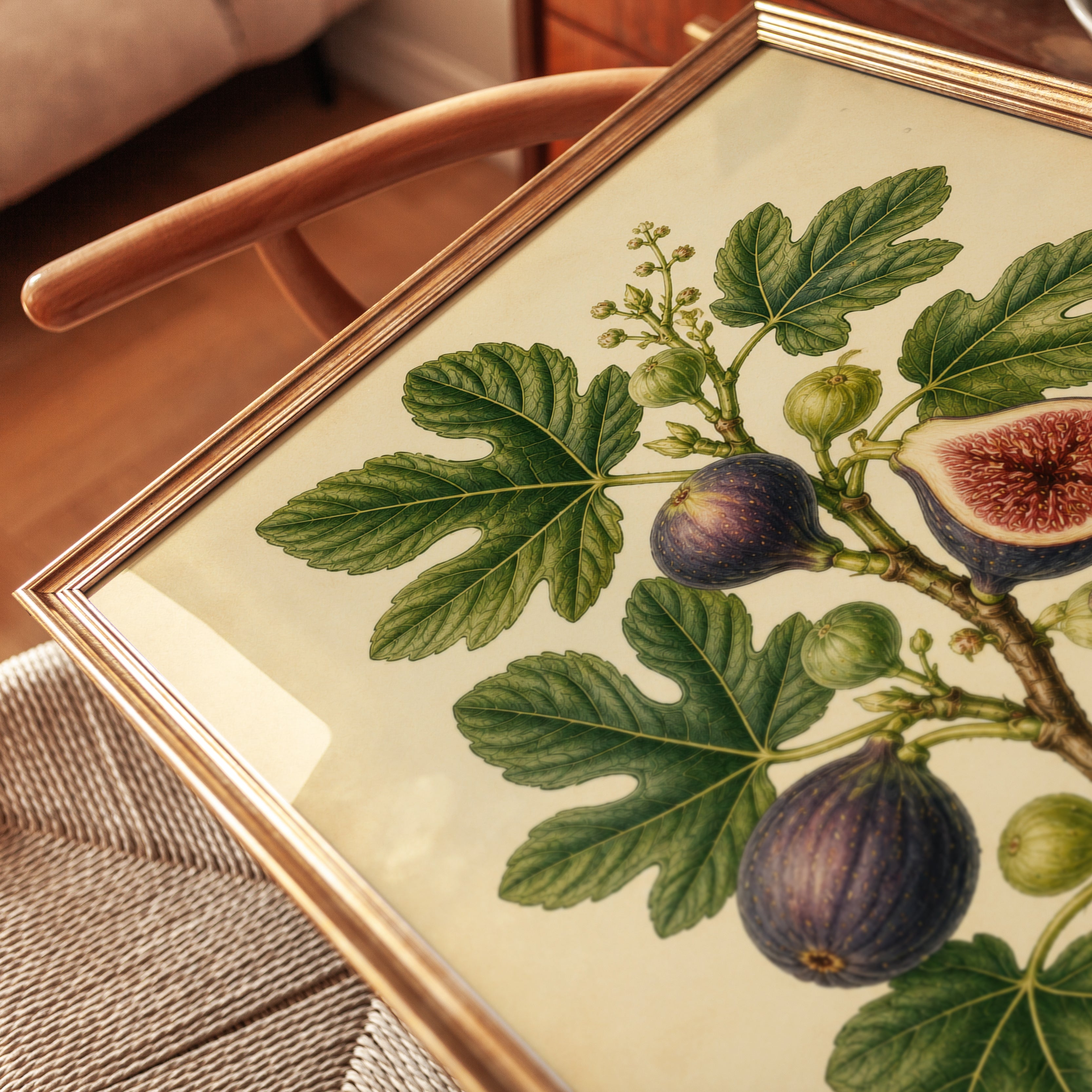 Fig Botanical Print — Vintage Fruit Illustration - detail