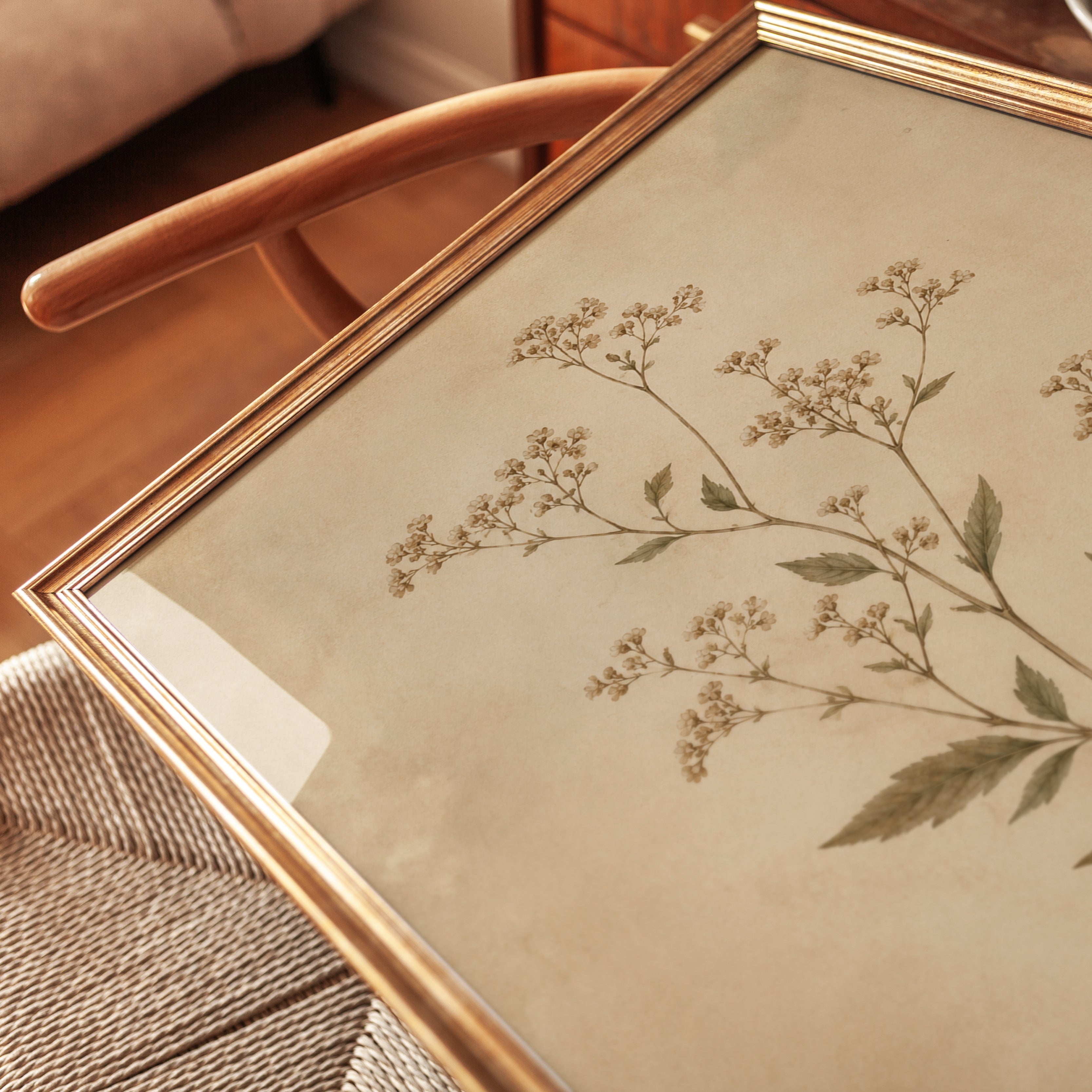 Pressed Botanical Print — Vintage Herbarium Specimen - detail