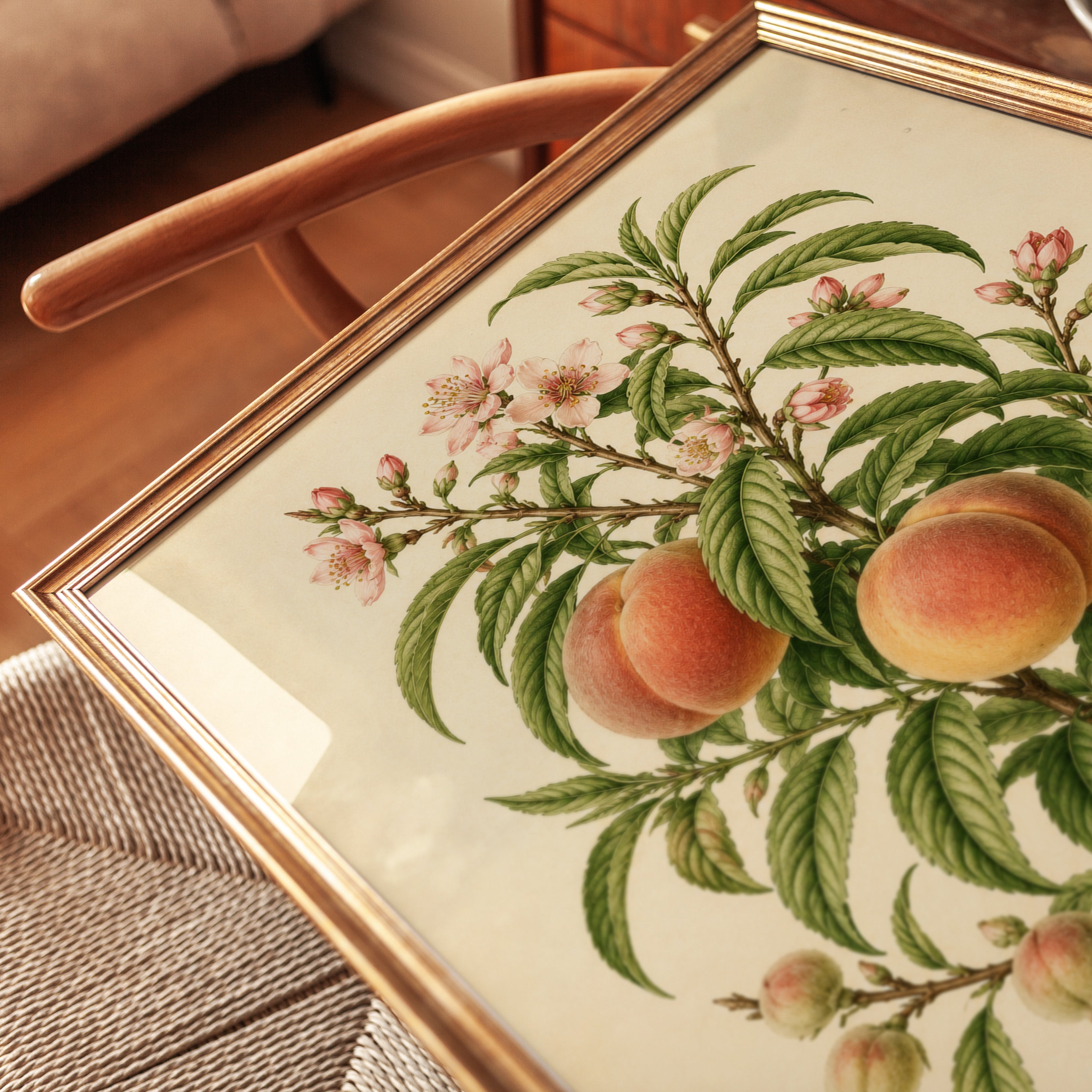 Vintage Peach Botanical Print — Hand-Painted Fruit Tree Illustration - detail