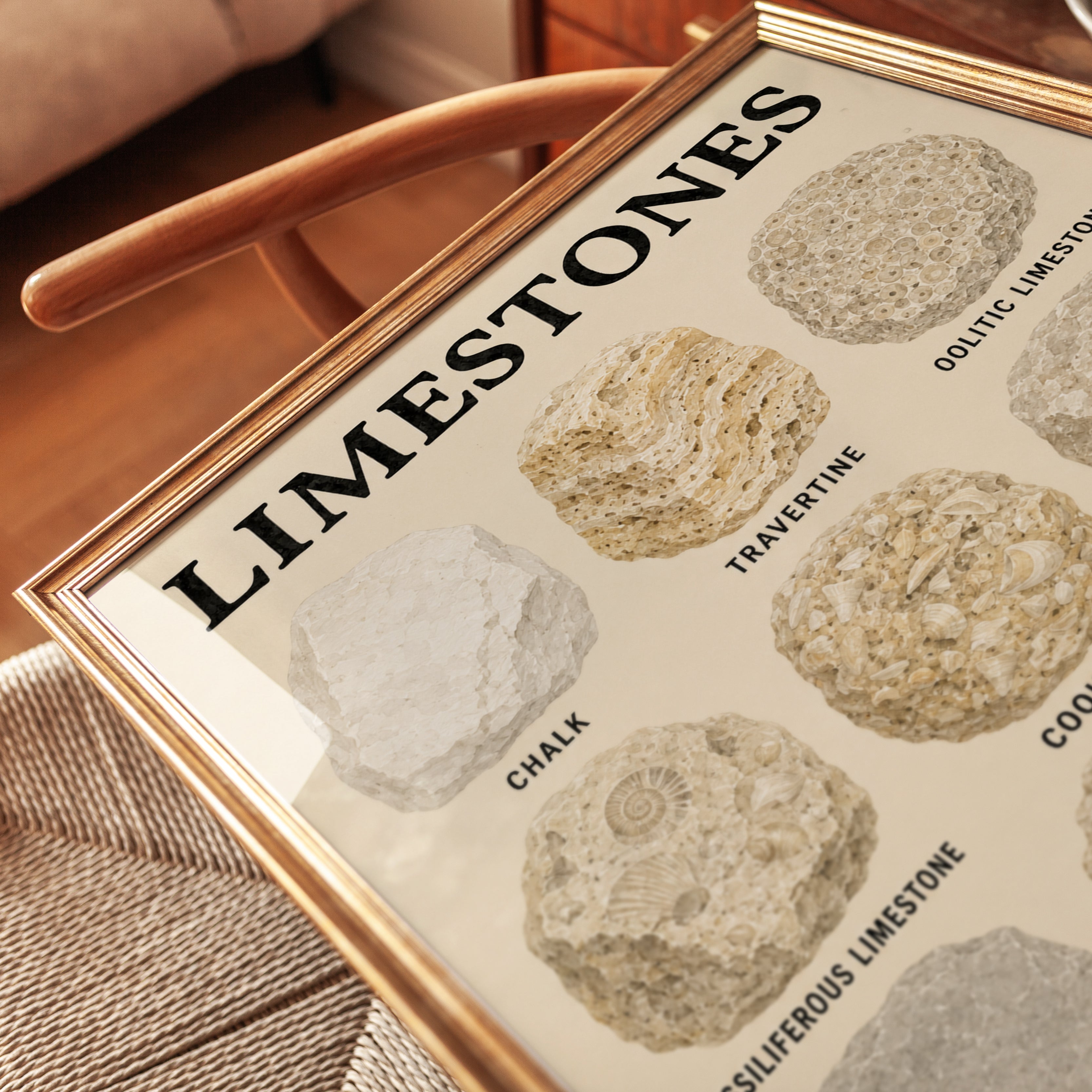 Limestone Educational Poster — Geology Chart of Rock Types - detail
