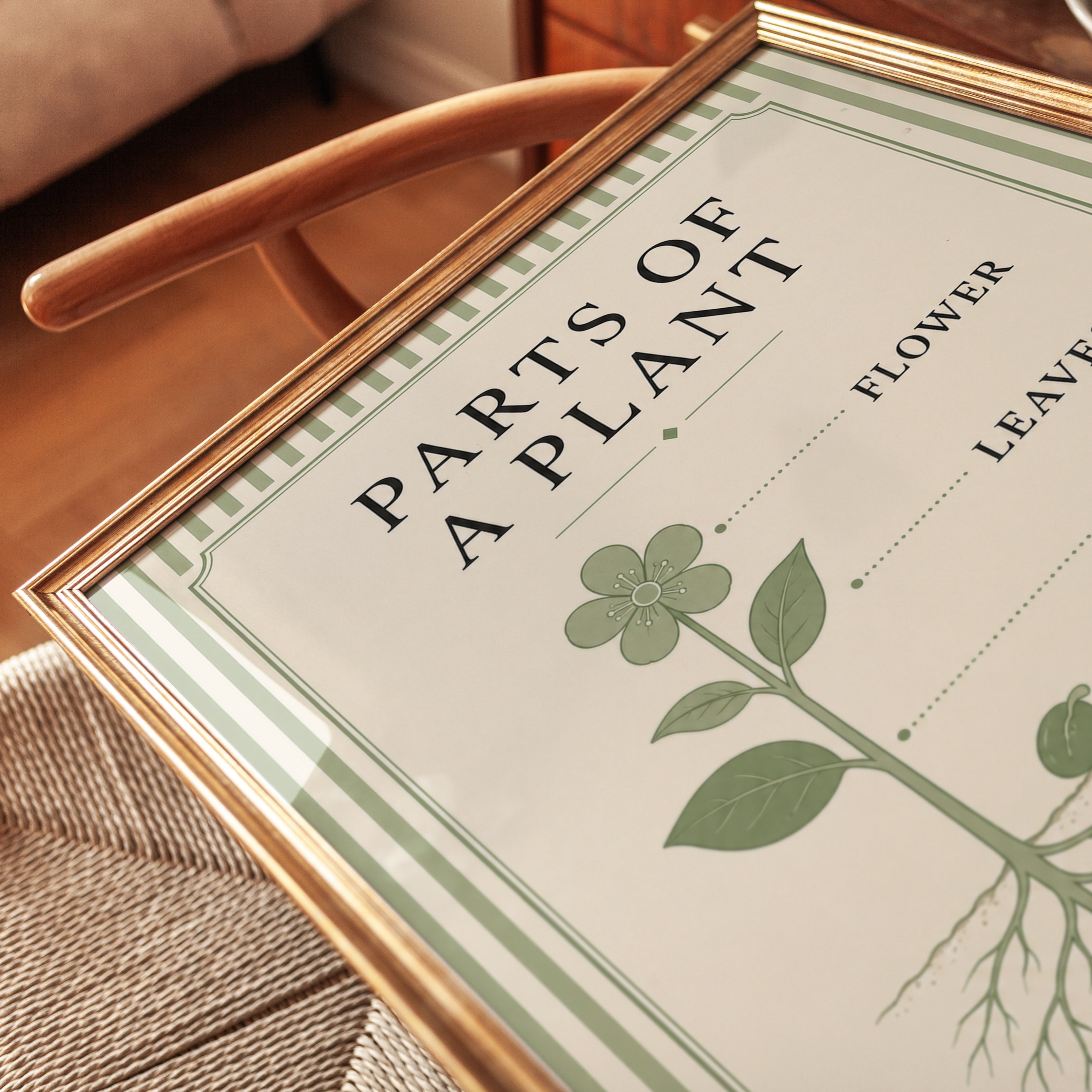 Parts of a Plant Botanical Diagram: Vintage Educational Poster - detail