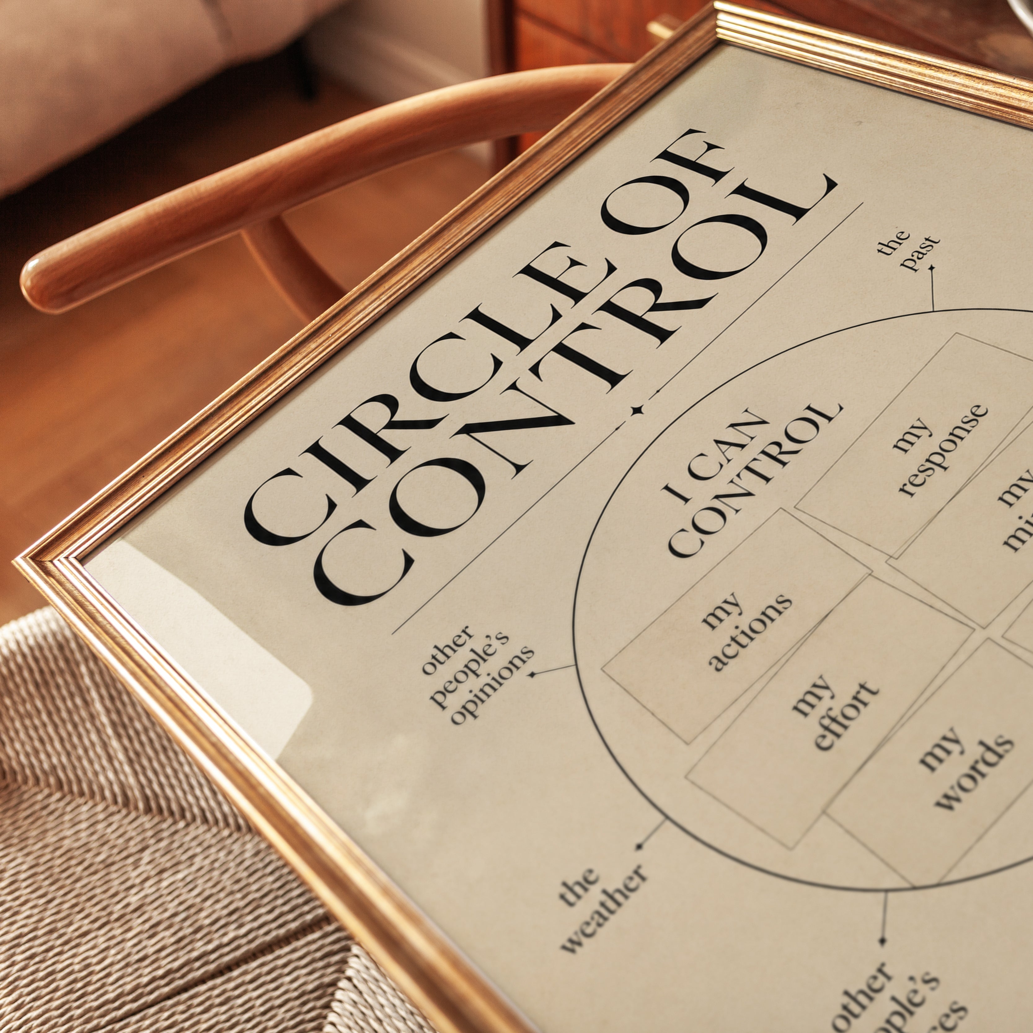 Circle of Control Poster – Mindfulness Wall Art - detail