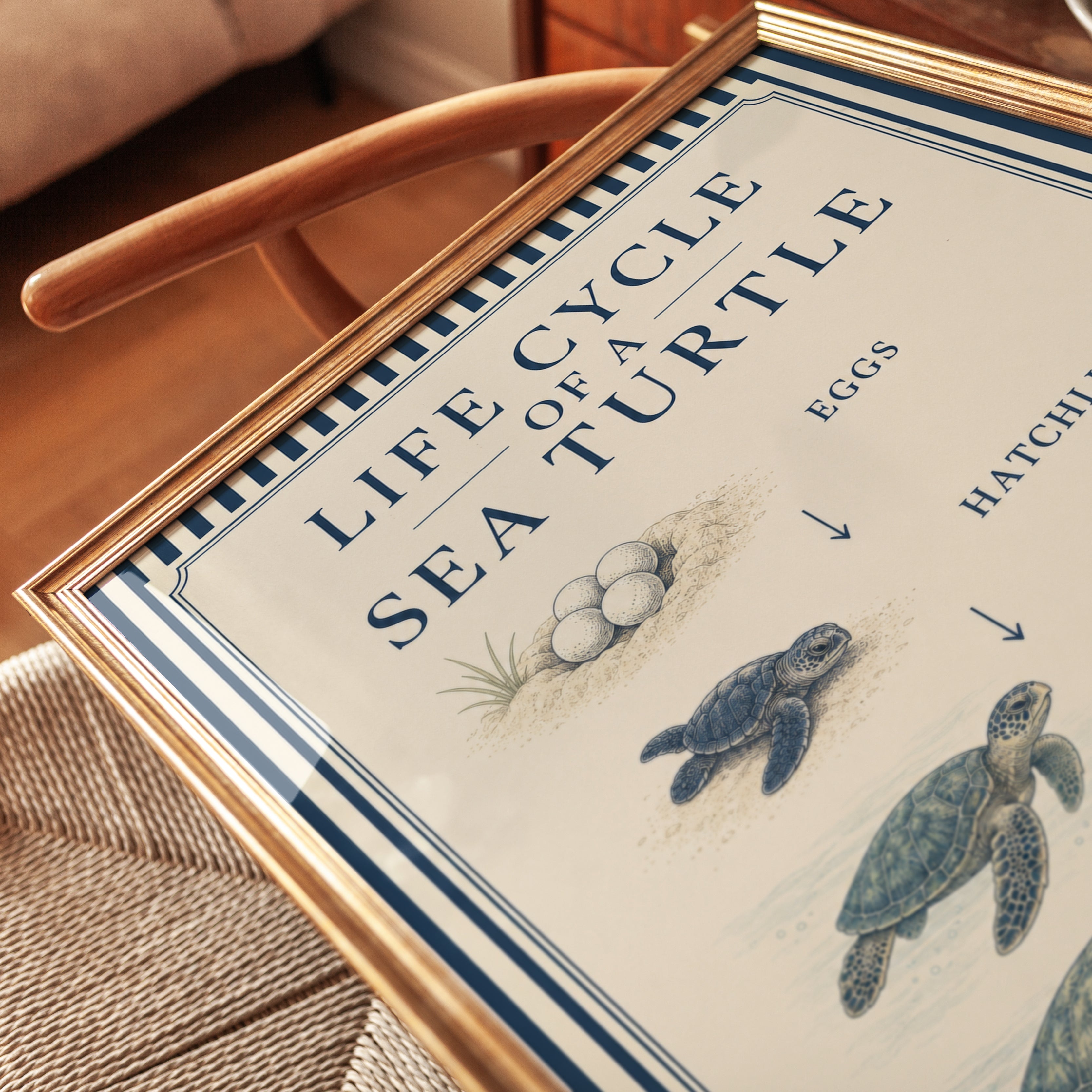 Sea Turtle Wall Art – Life Cycle Poster - detail
