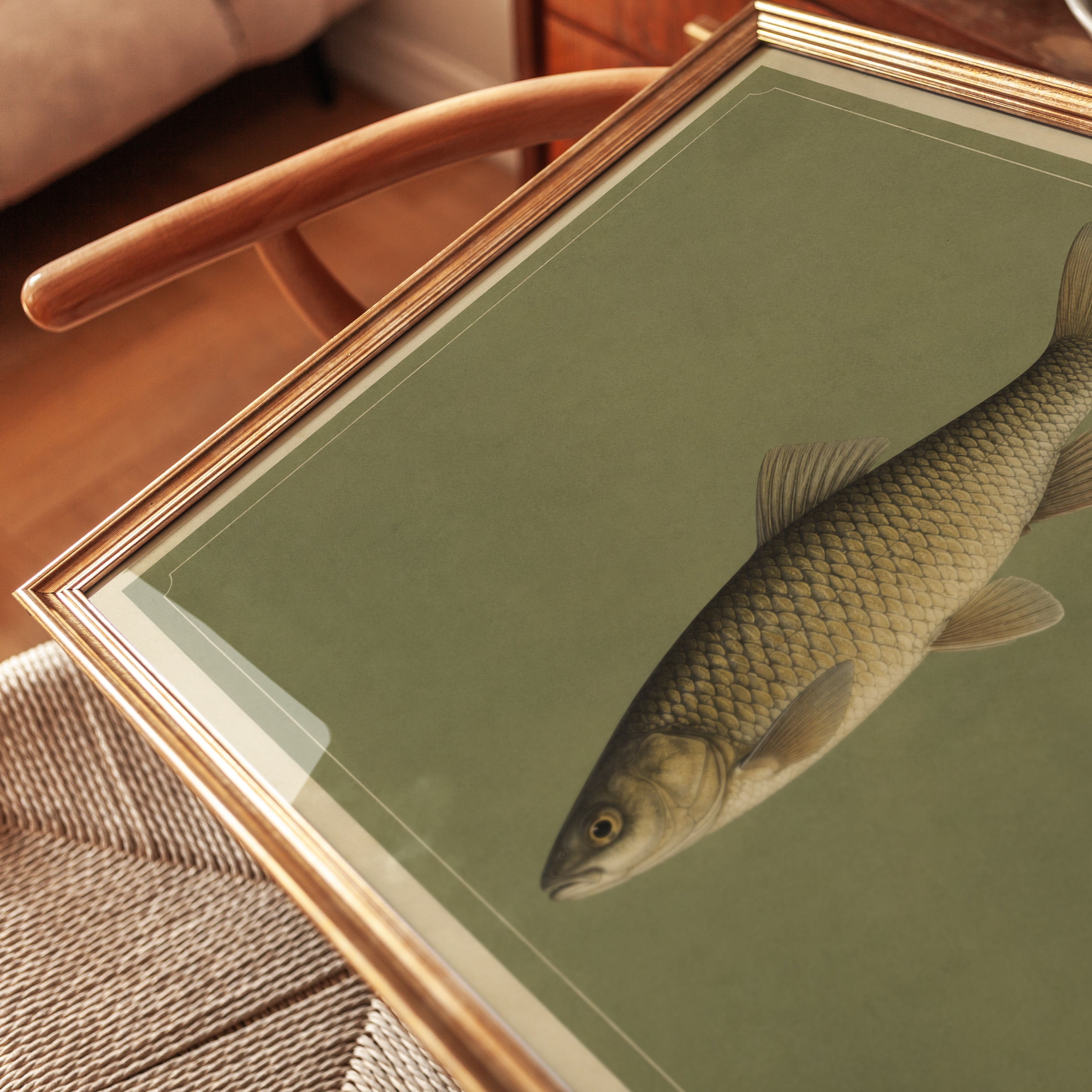 Vintage Fish Wall Art - detail