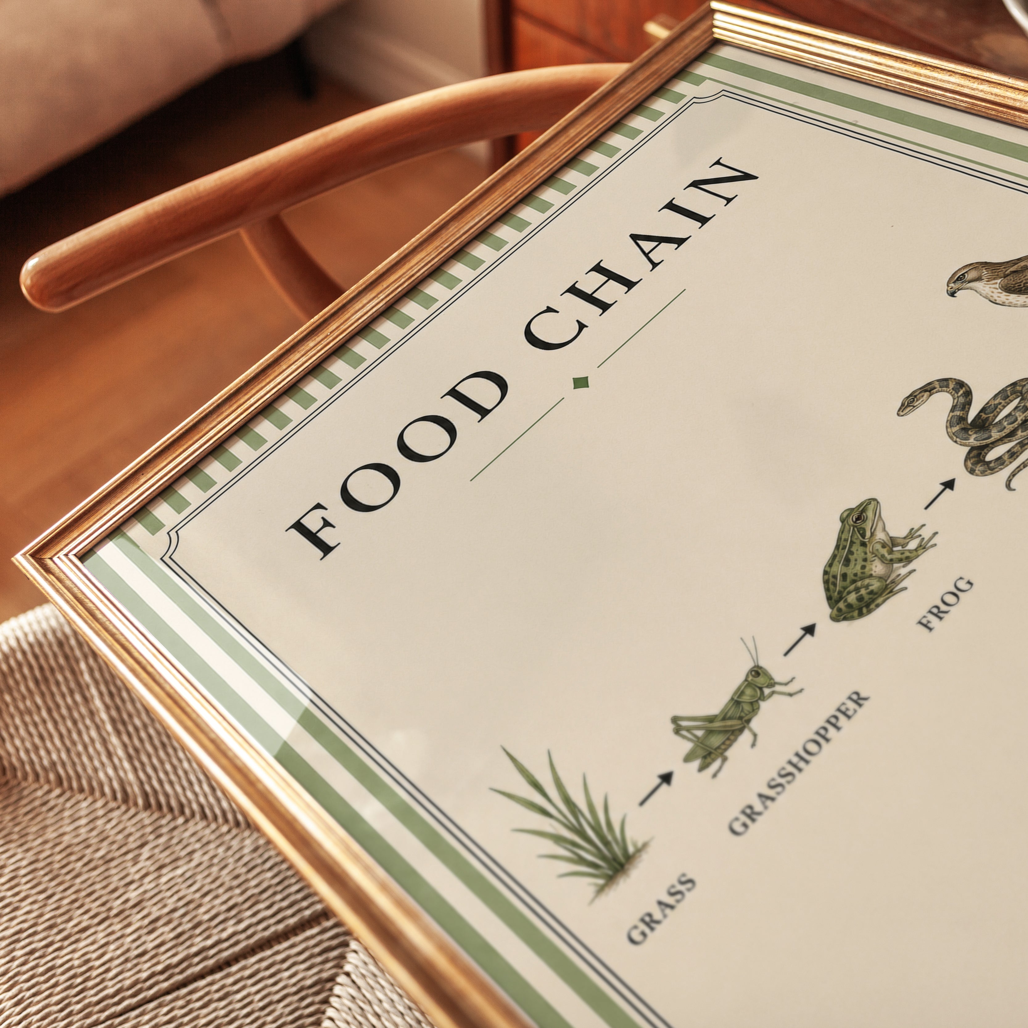 Food Chain Diagram Print: Vintage Natural History Wall Art - detail