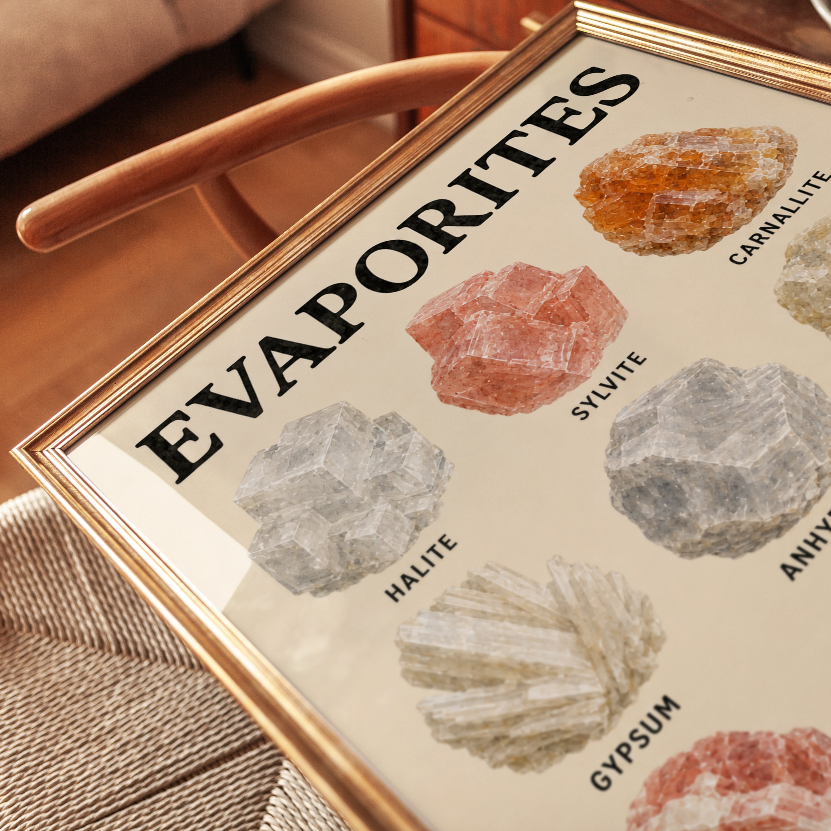 Evaporite Minerals Chart Print: Geological Science Wall Art - detail