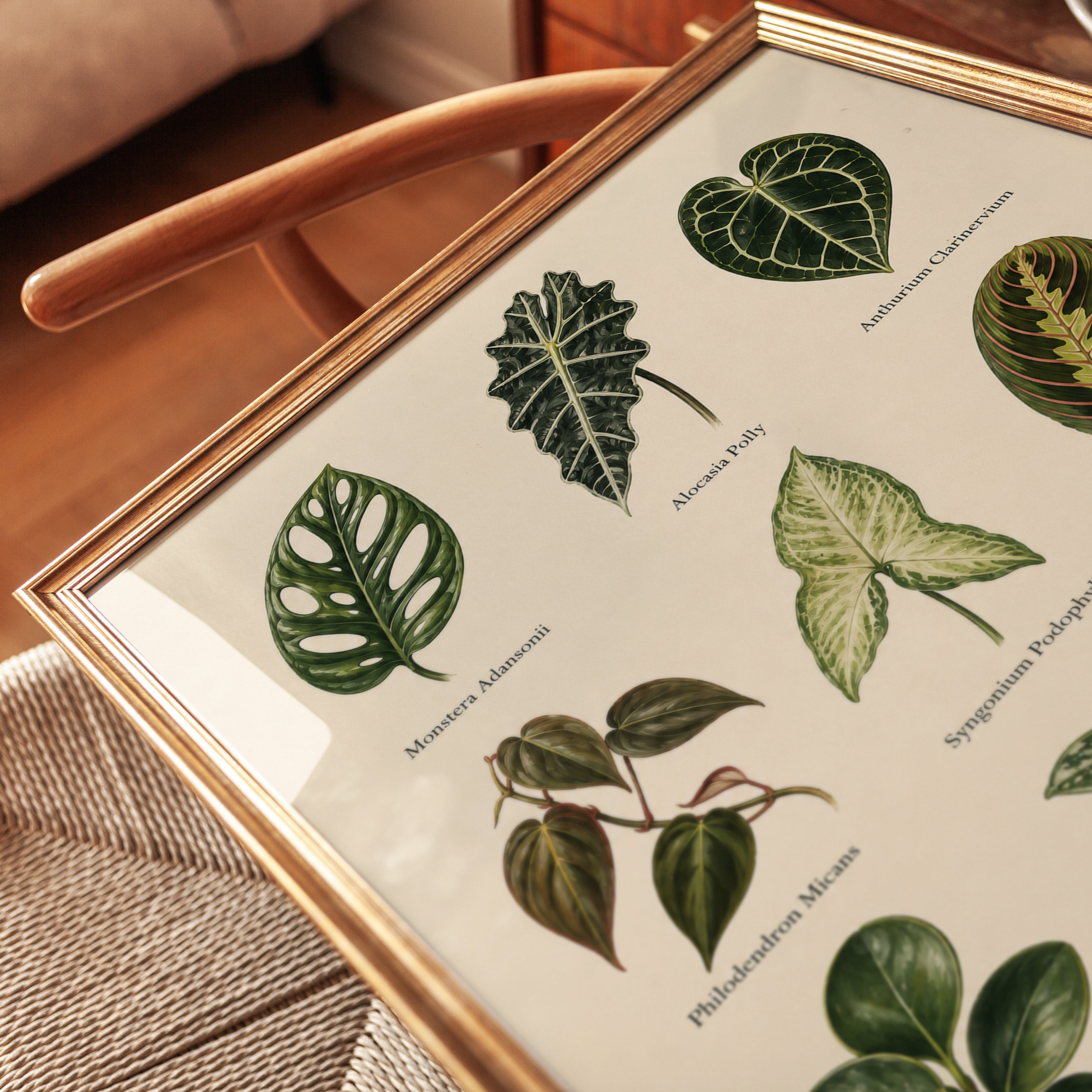 Botanical Leaf Collection Print: Vintage Tropical Foliage Art - detail