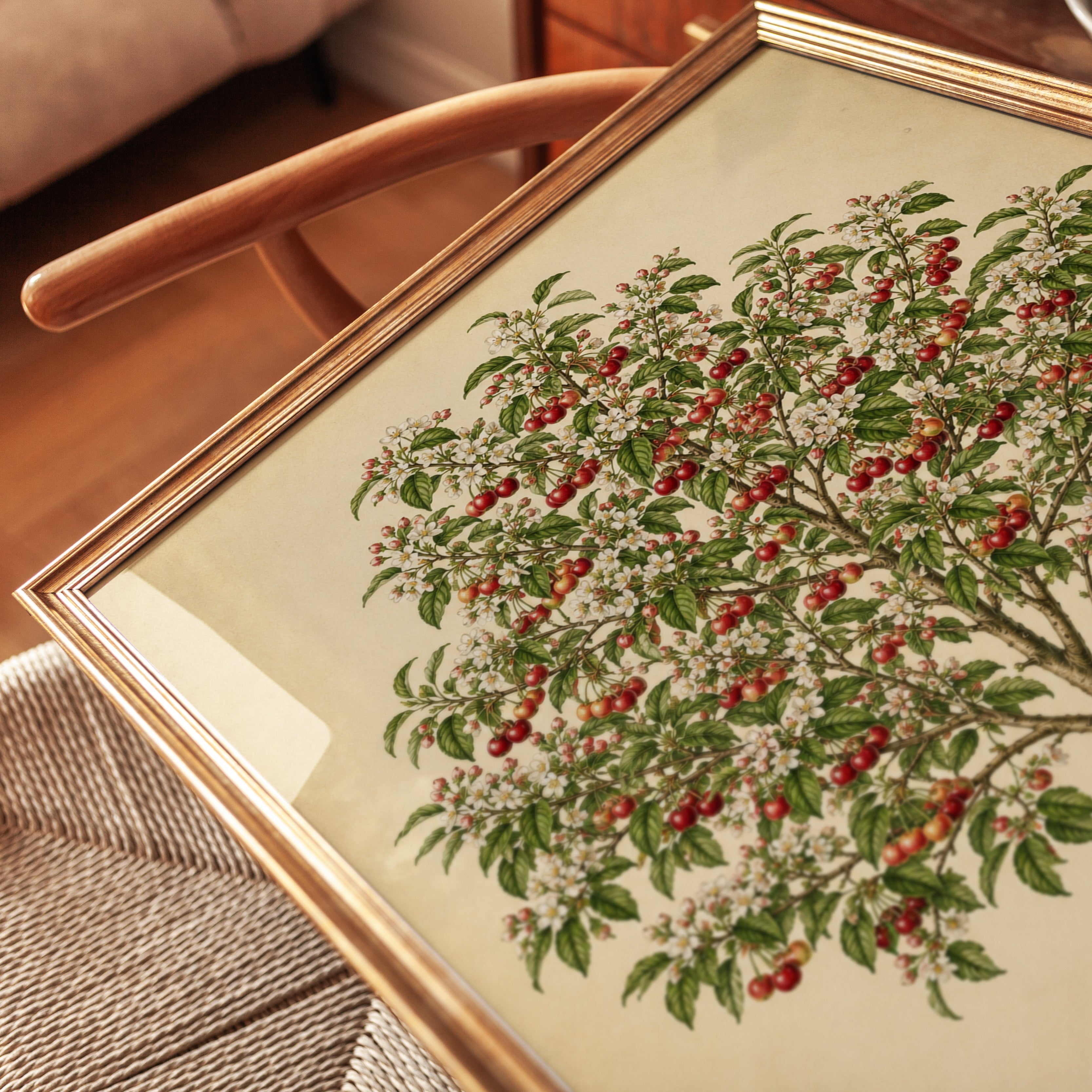 Cherry Tree Botanical Print: Vintage Fruit Tree Illustration - detail