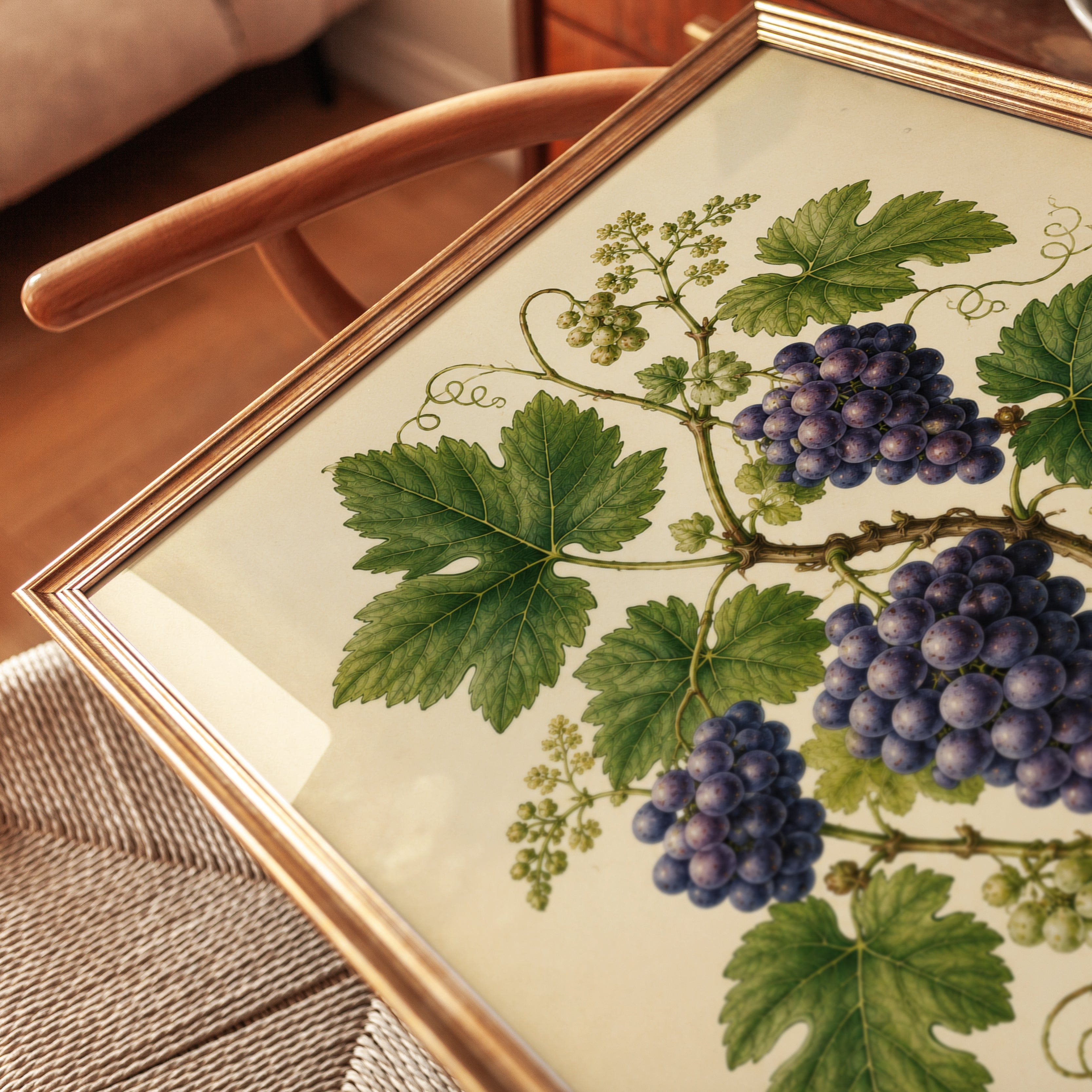 Vintage Grape Botanical Print — Antique Wine Illustration - detail