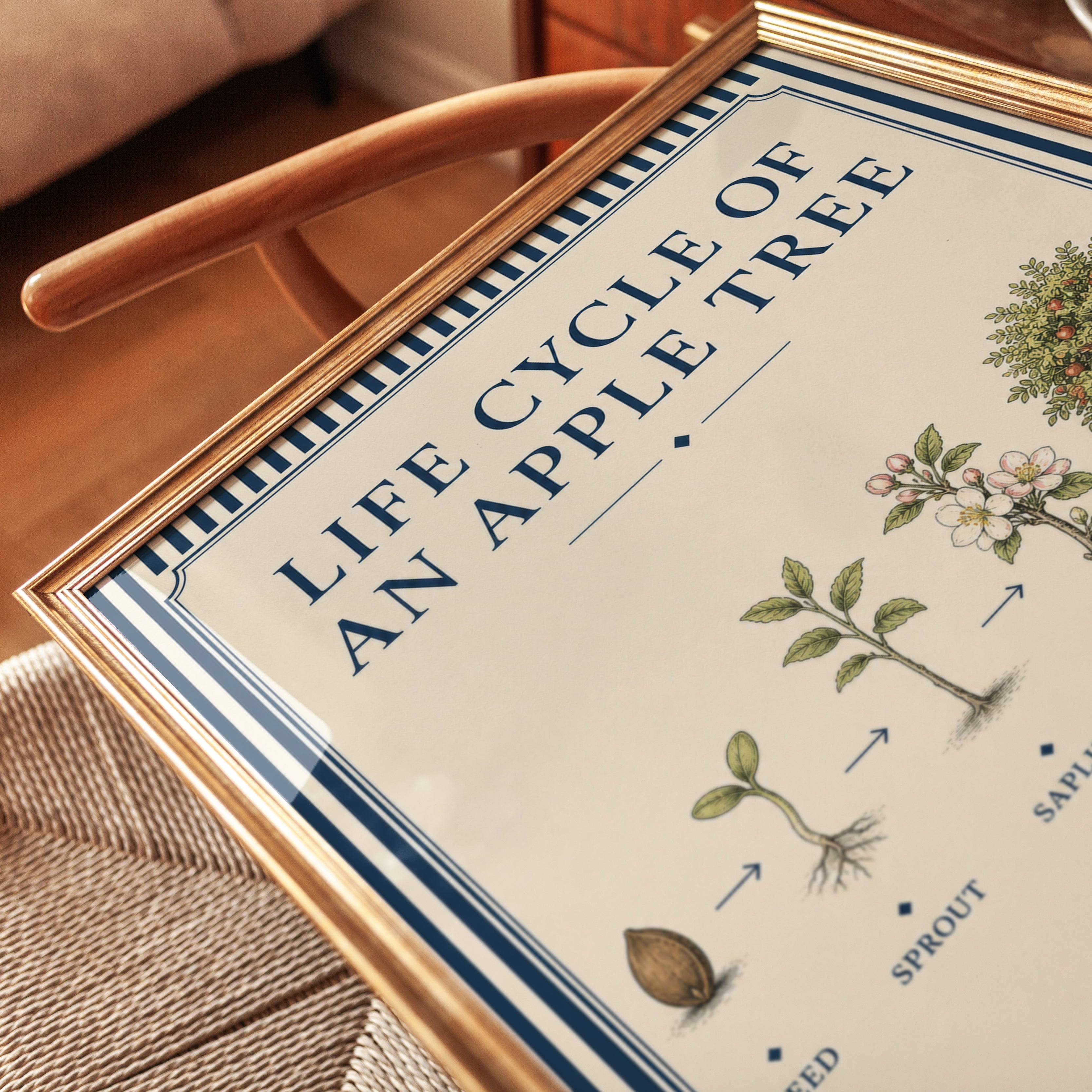 Life Cycle Poster - detail