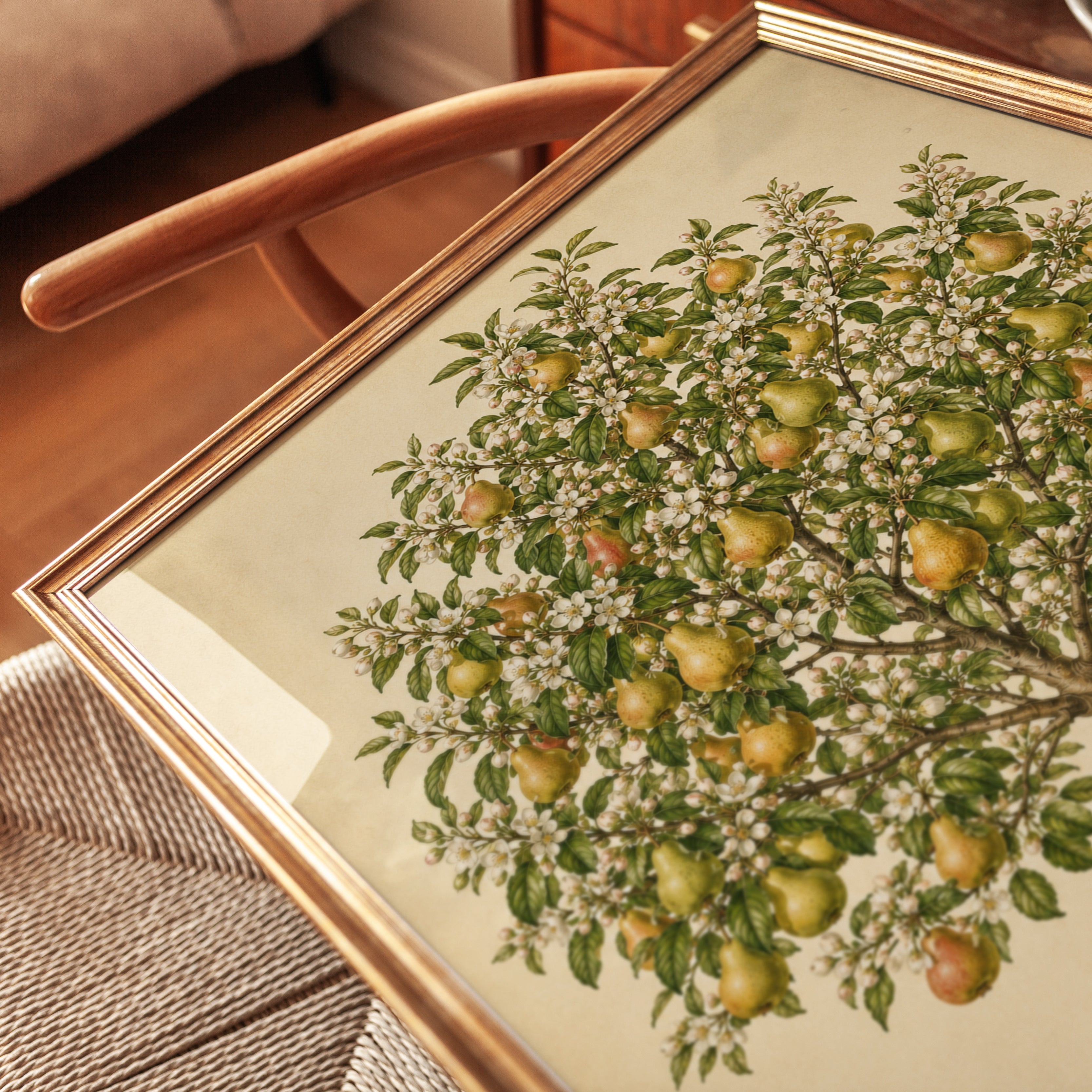 Pear Tree Botanical Art Print: Vintage Fruit Illustration - detail
