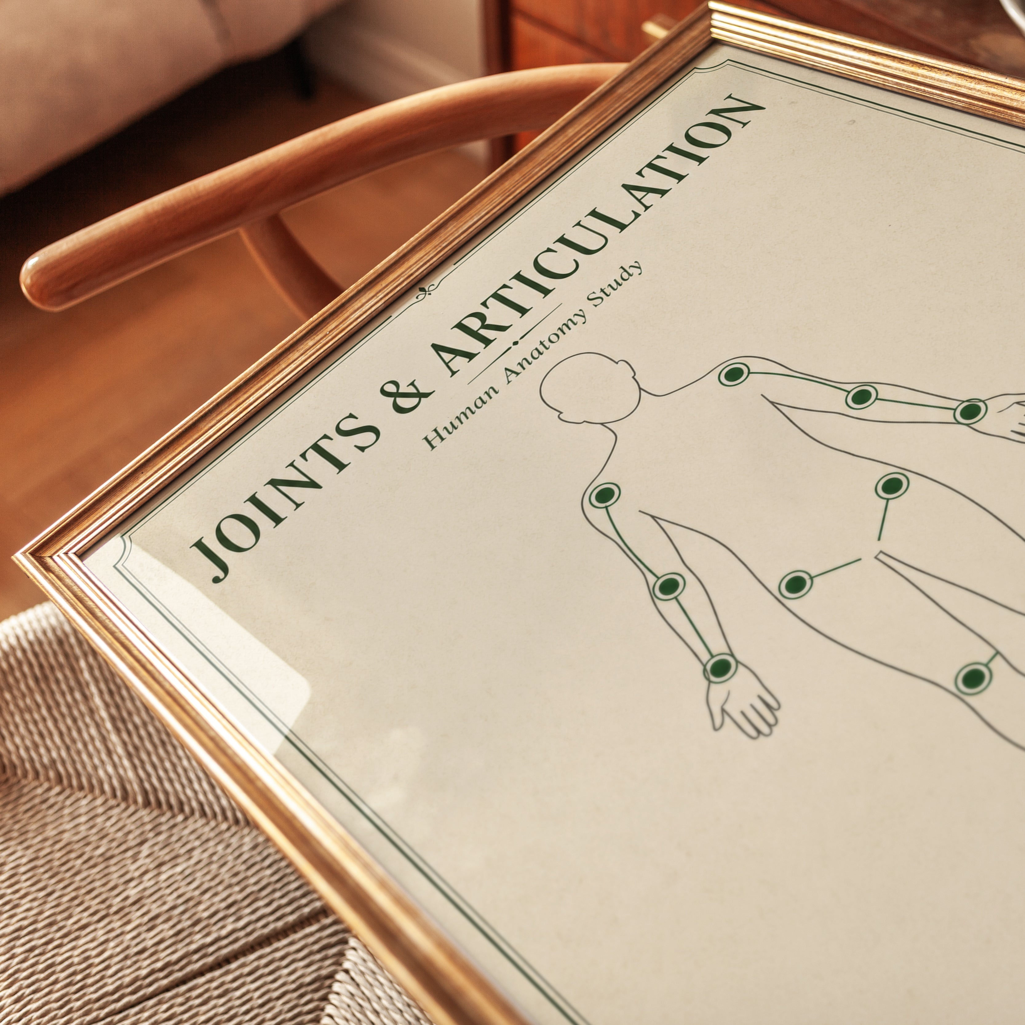 Anatomy Study Print — Joints & Articulation Chart - detail