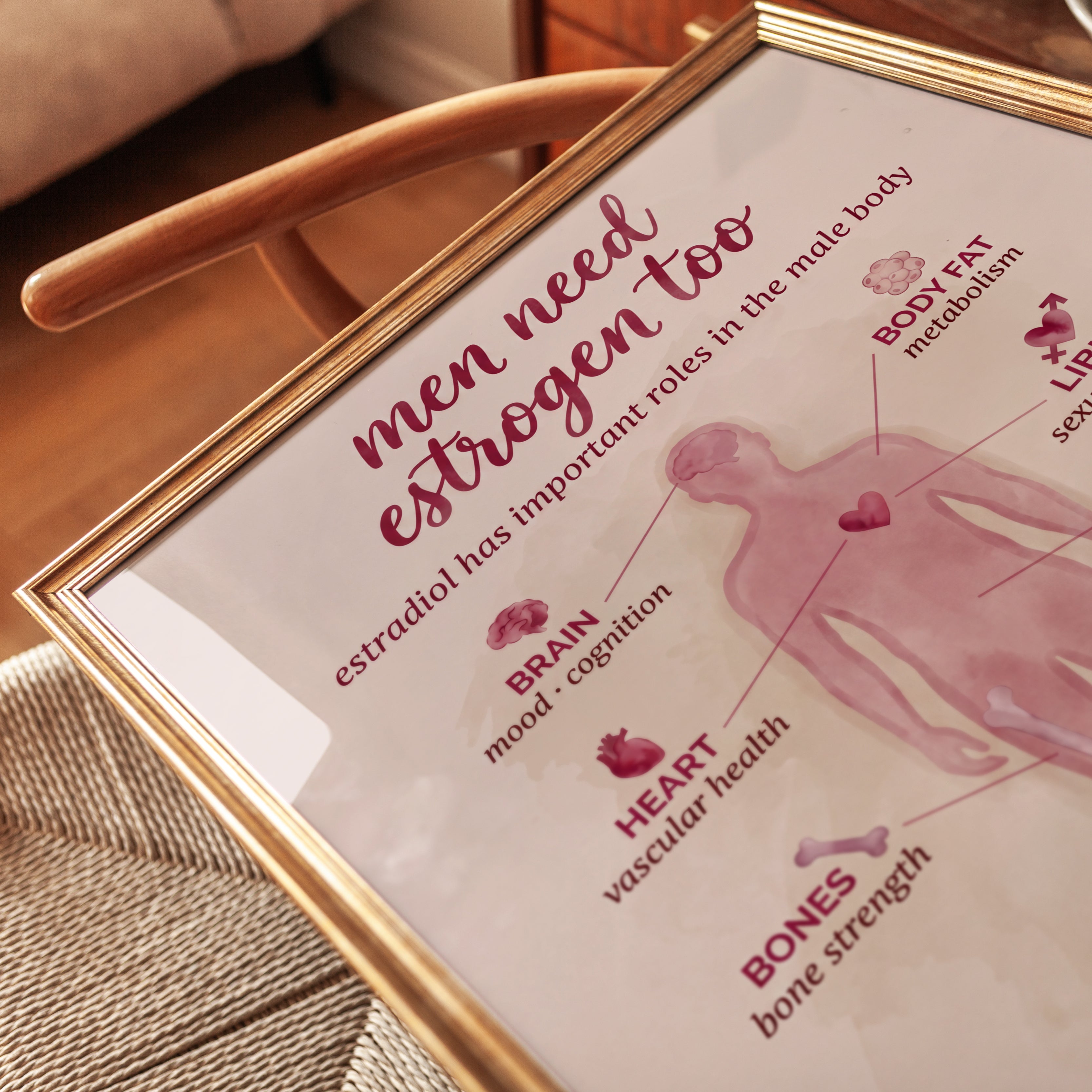 Men Need Estrogen Too Medical Infographic: Pink Health Poster - detail