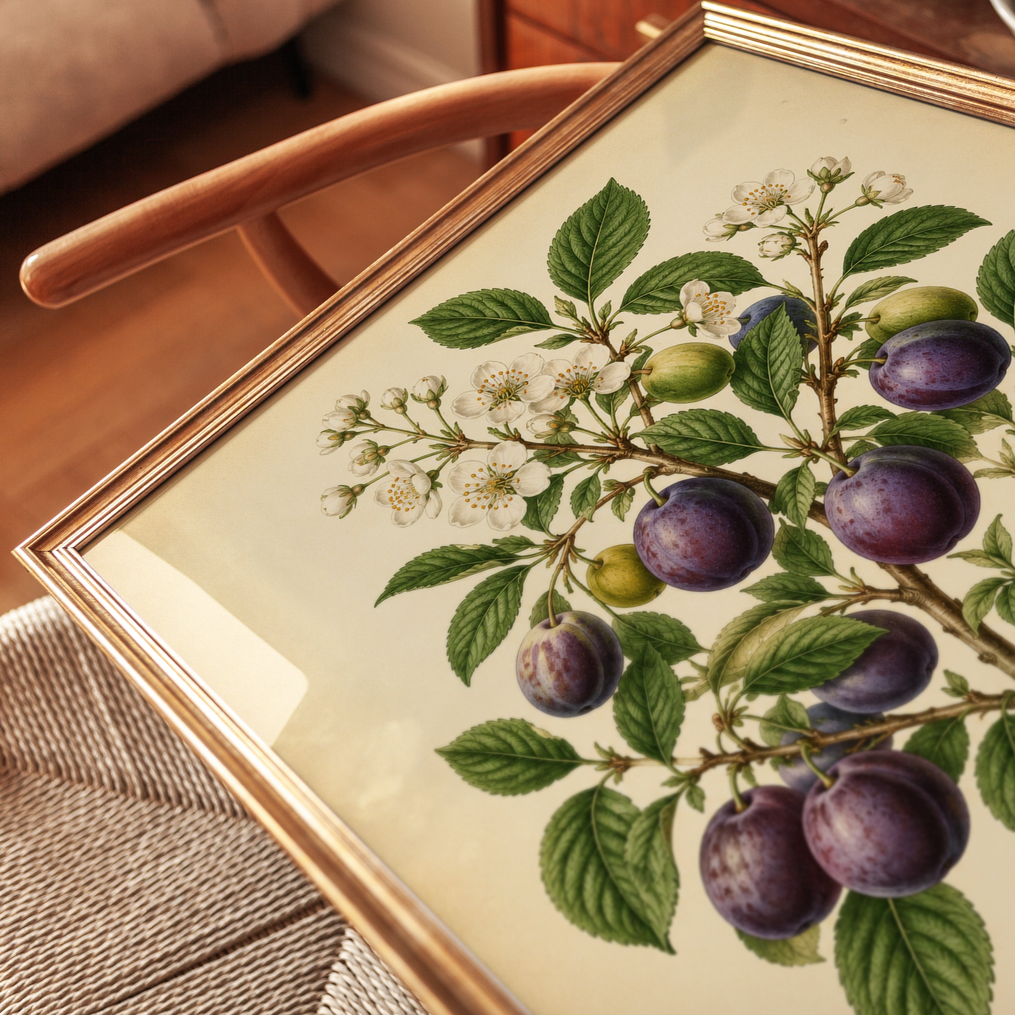 Plum Tree Botanical Print: Vintage Fruit Illustration Art - detail