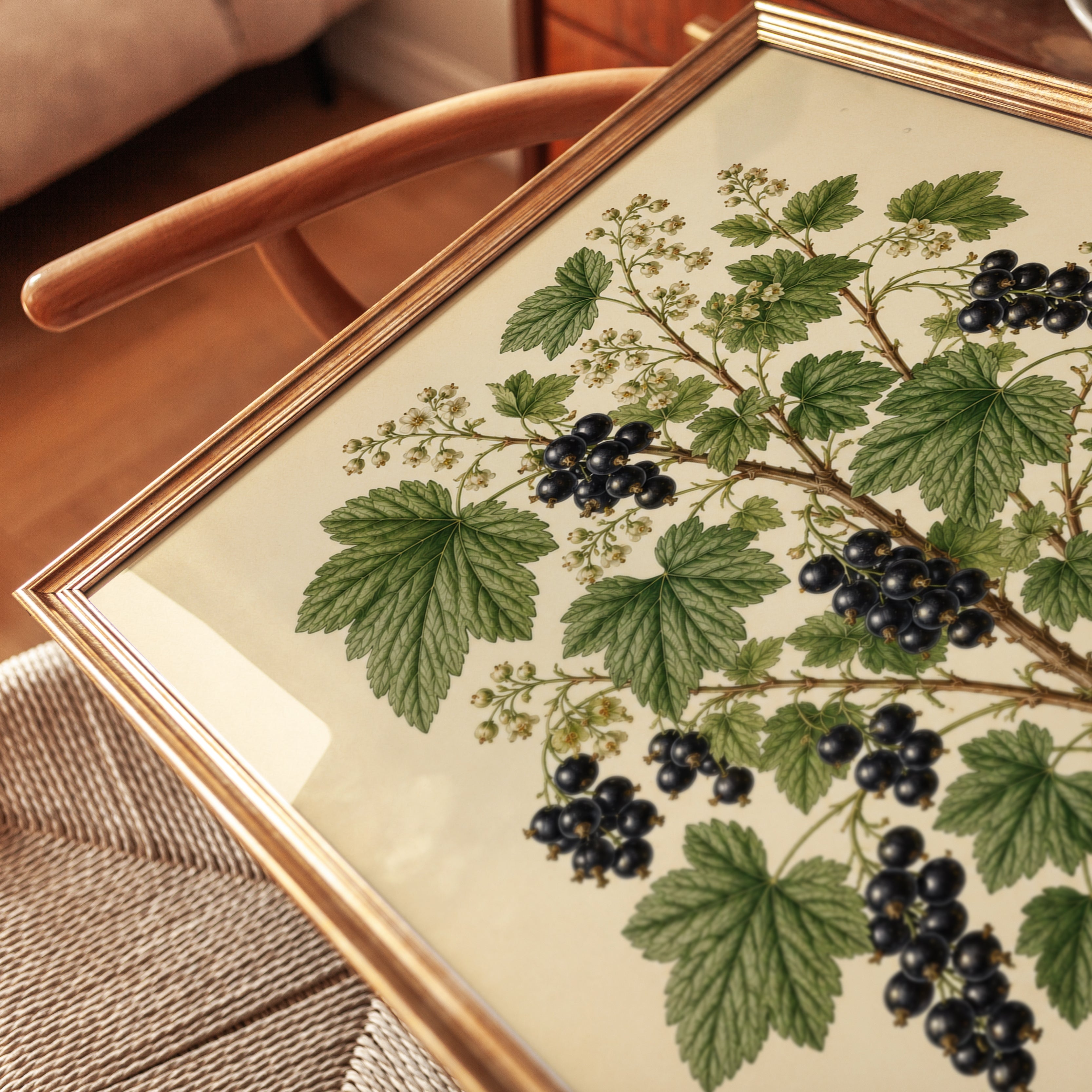 Blackcurrant Botanical Print — Vintage Fruit Illustration - detail