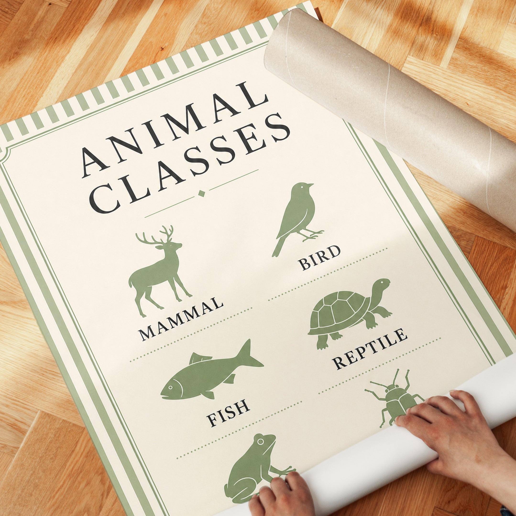 Animal Classification Poster - detail