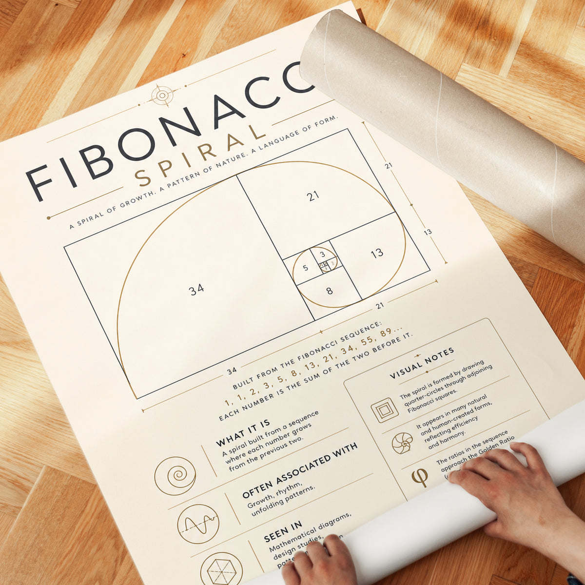 Fibonacci Spiral Wall Art: Educational Math Diagram - detail