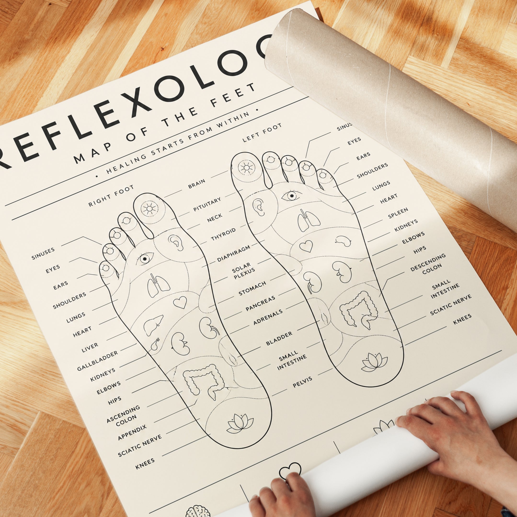 Reflexology Map Poster – Foot Chart Print - detail