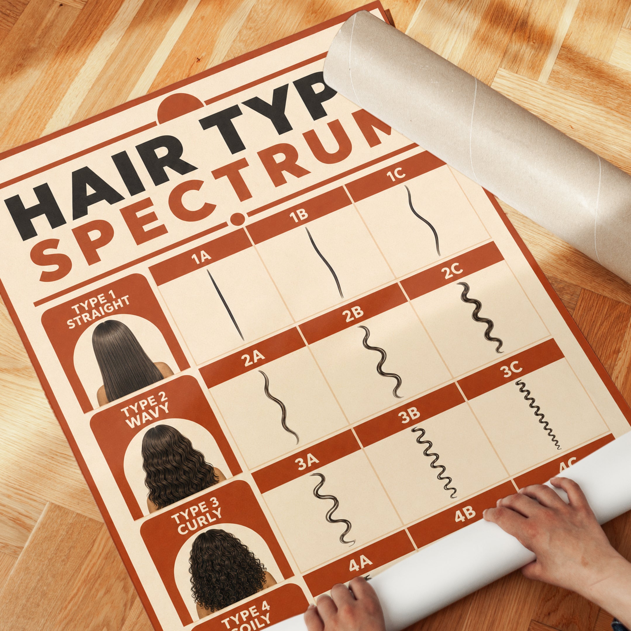 Hair Type Spectrum Chart: Vintage Educational Poster - detail