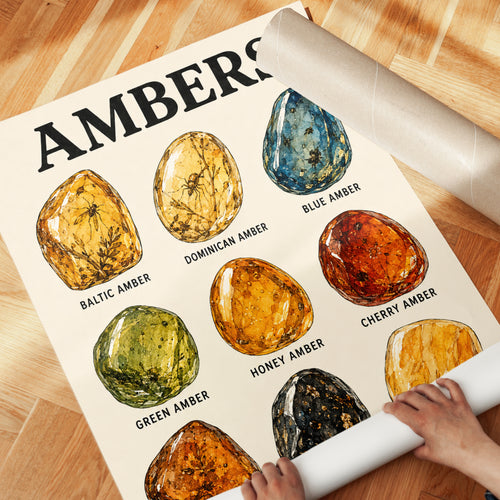 Amber Types Educational Print — Illustrated Gemstone Chart - detail