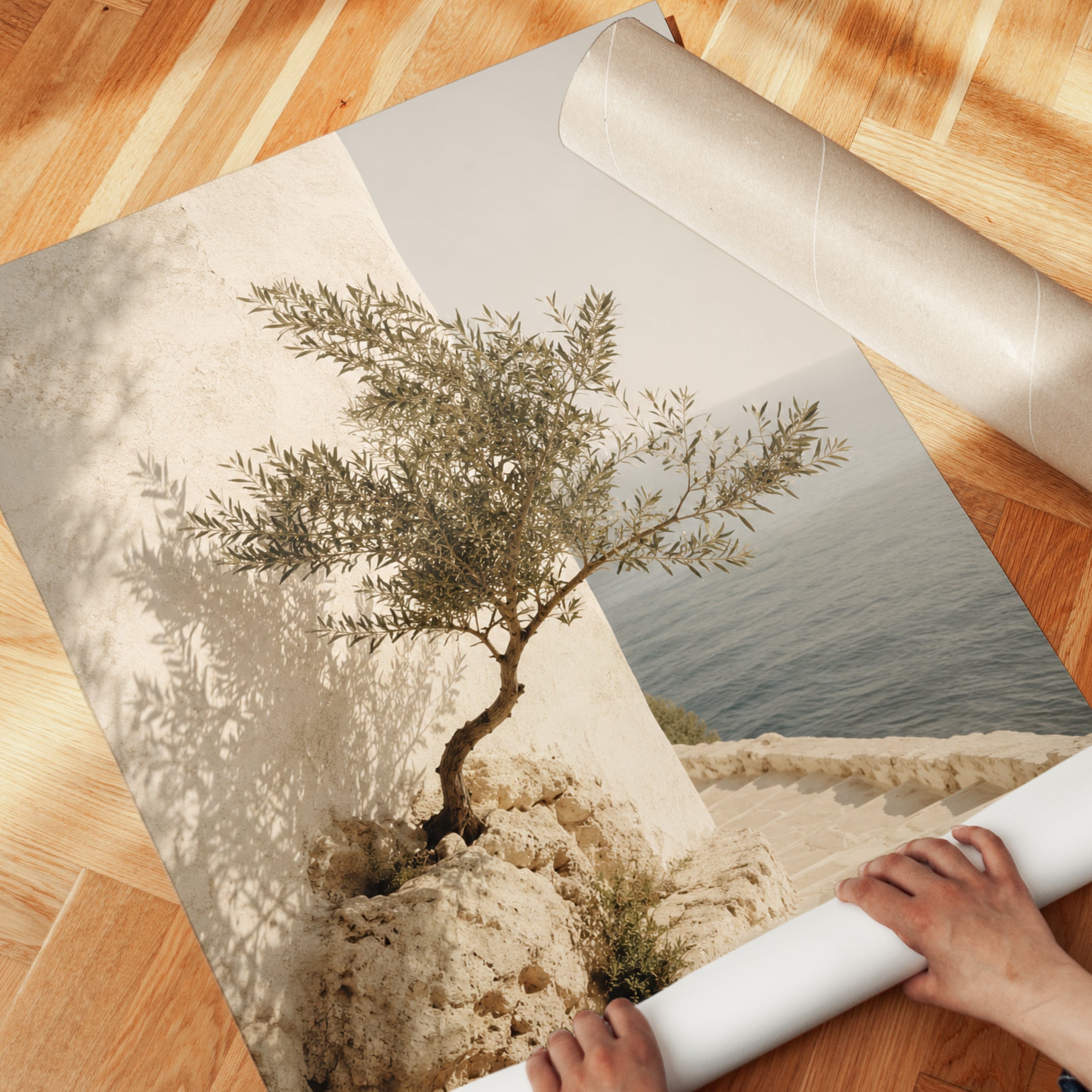 Mediterranean Olive Tree Print - detail