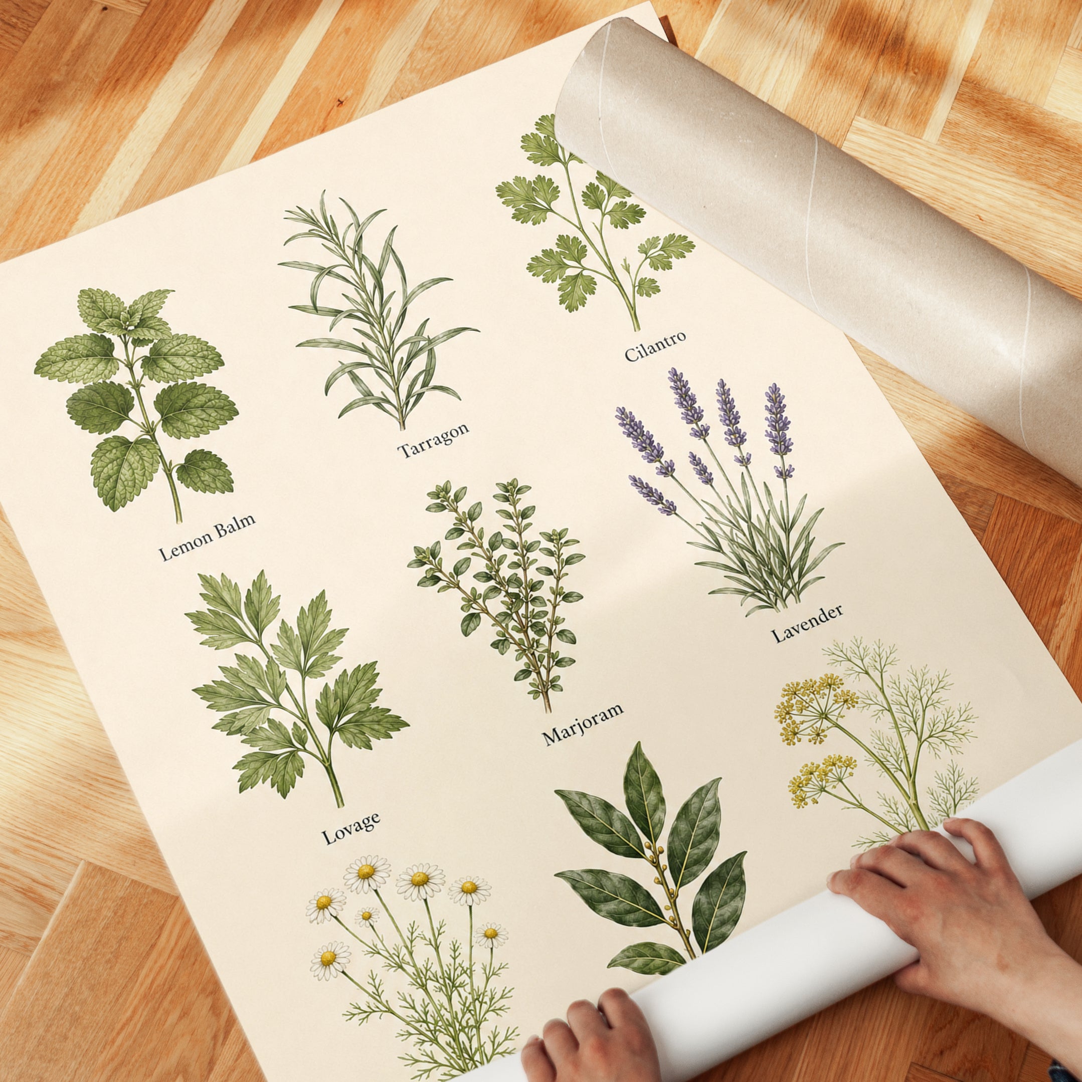 Kitchen Herbs Print – Botanical Chart Wall Art - detail