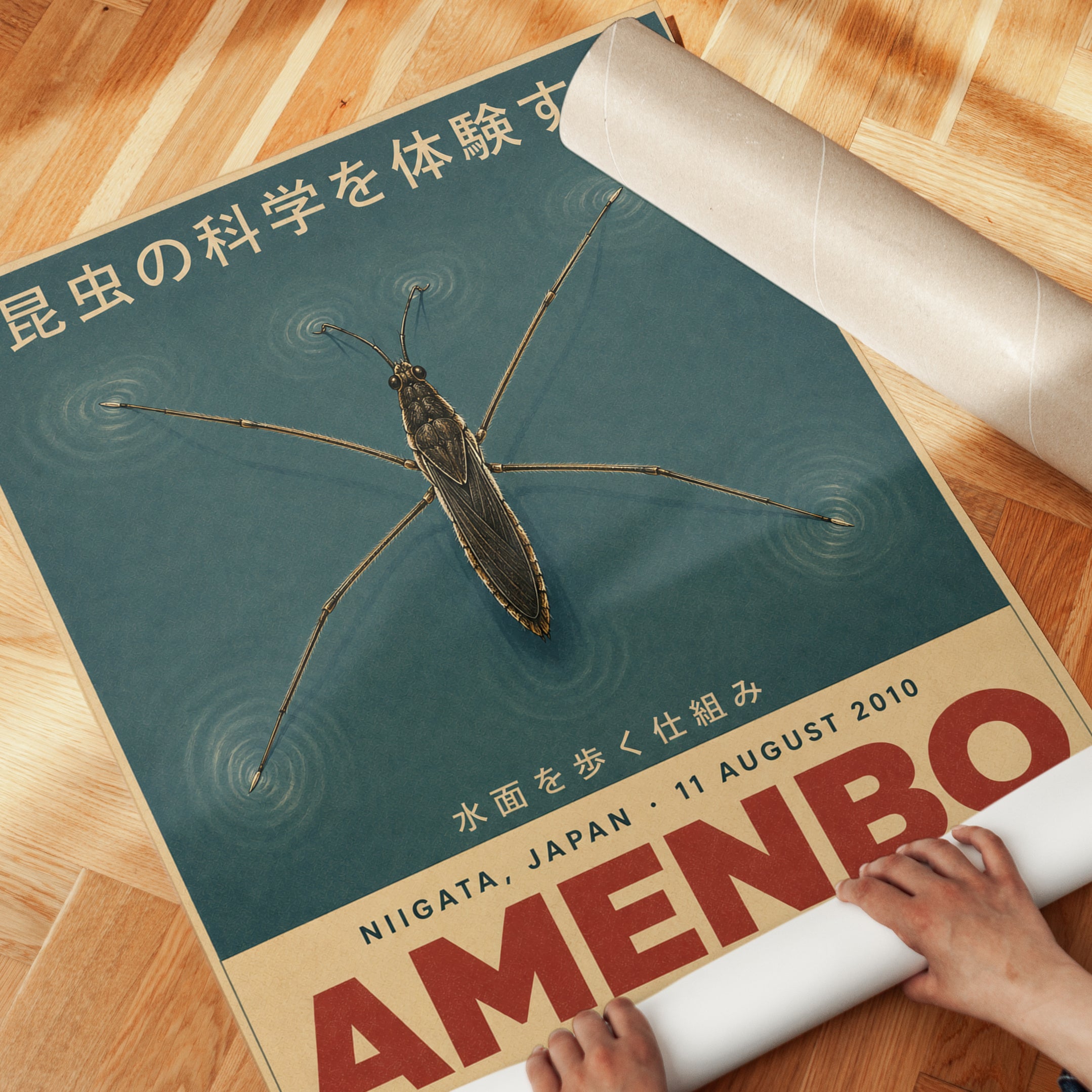 Japanese Water Strider Poster: Vintage Scientific Illustration - detail