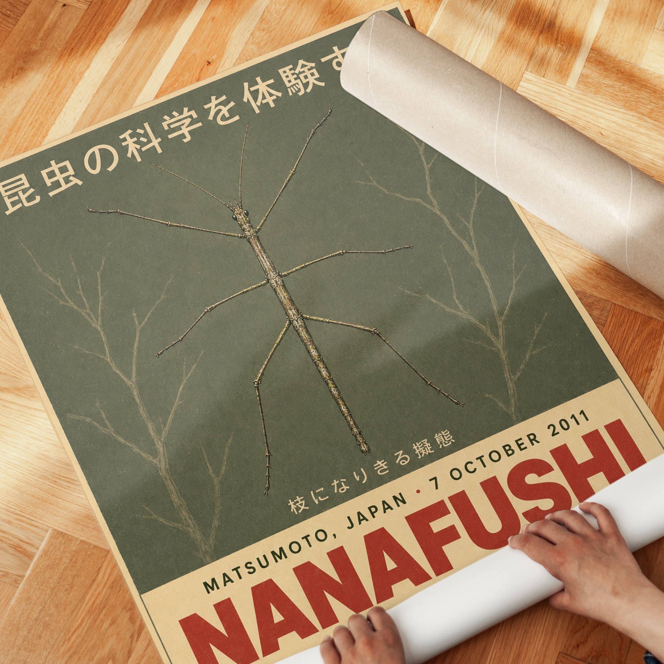 Japanese Stick Insect Poster: Vintage Scientific Illustration - detail
