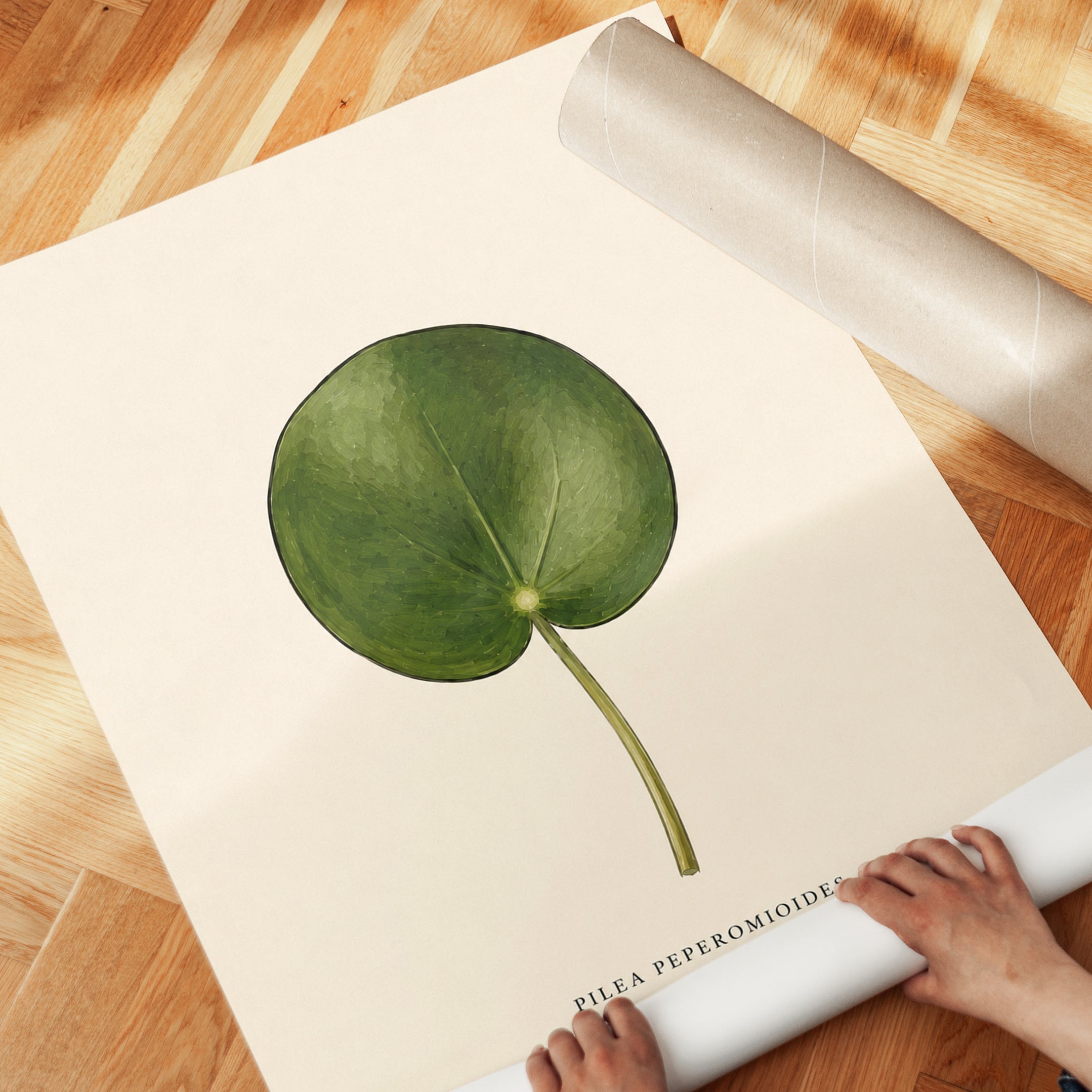 Pilea Peperomioides Botanical Print: Vintage Green Leaf Art - detail