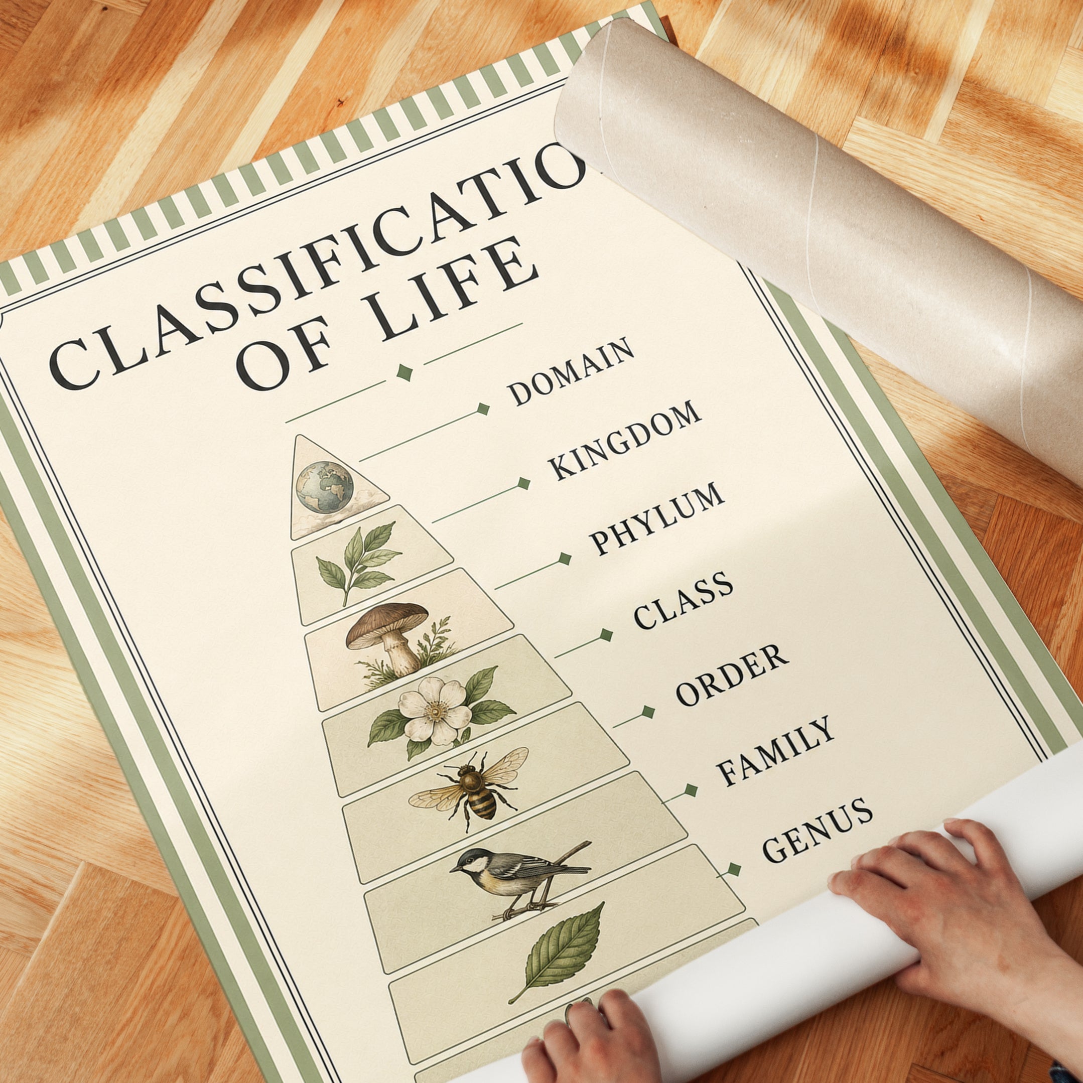Biology Classroom Poster - detail